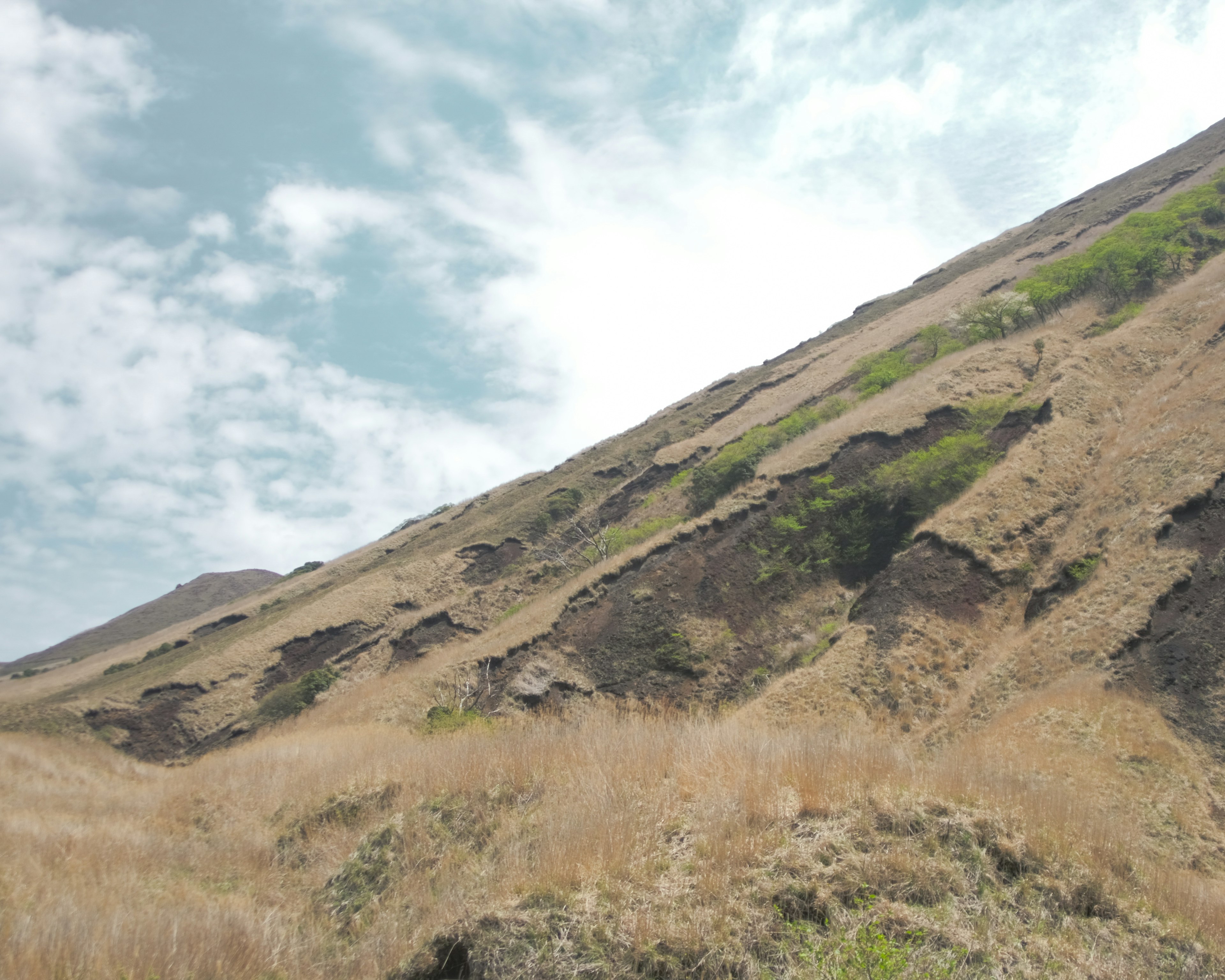 Paisaje con una pendiente herbosa y terreno rocoso bajo un cielo azul