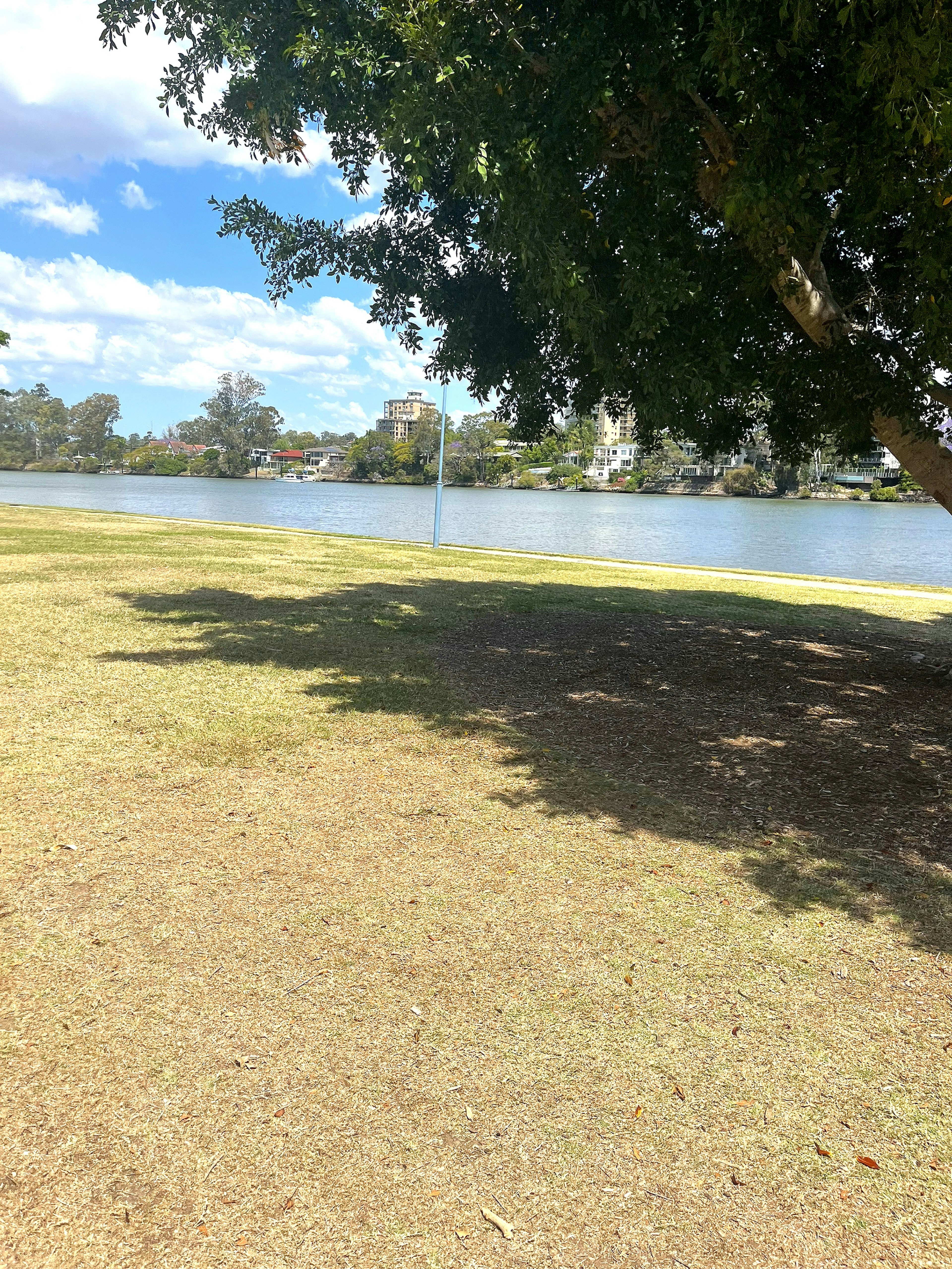 Lush grass area near a lake with trees and blue sky