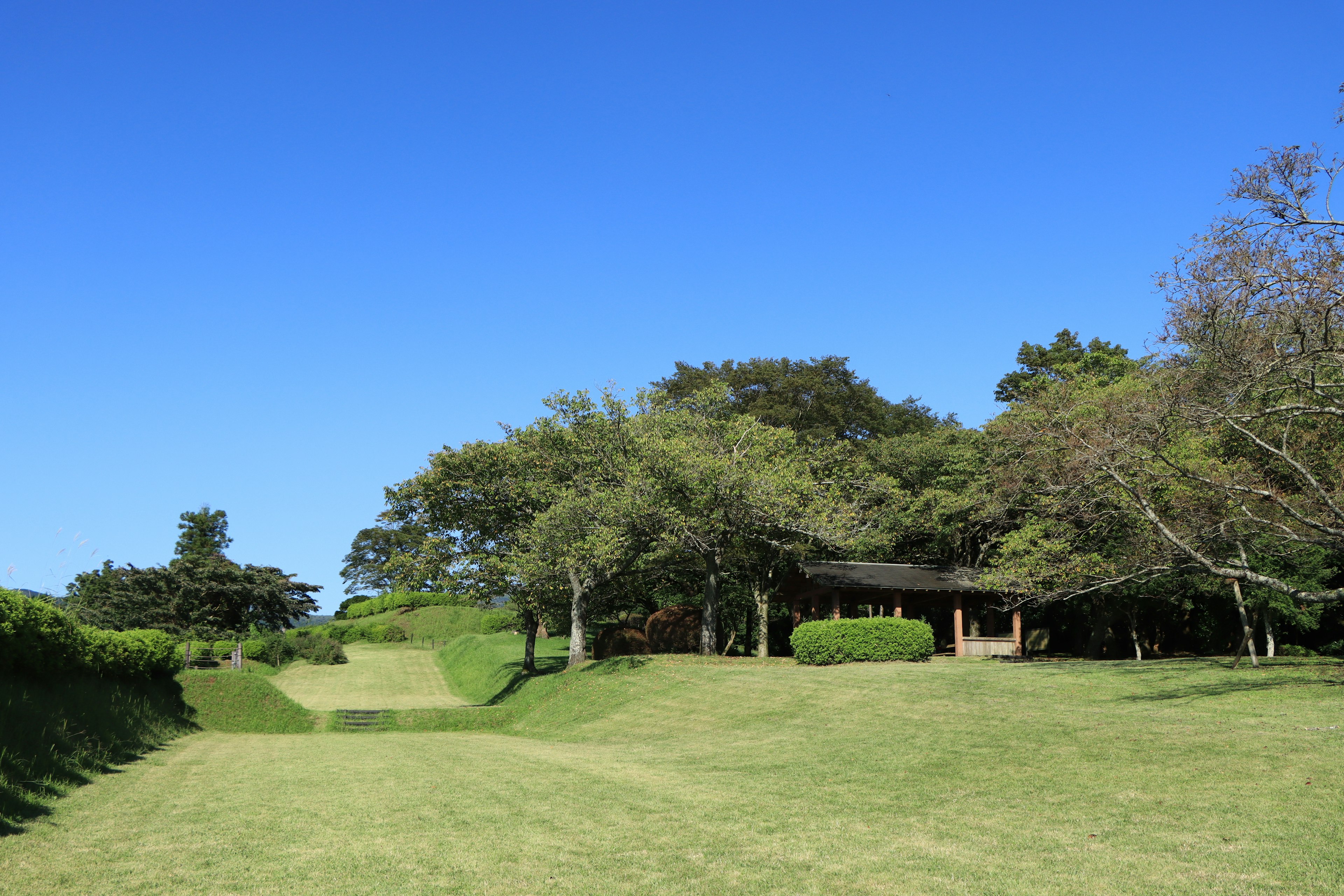 青空の下に広がる緑の草地と木々のある景色