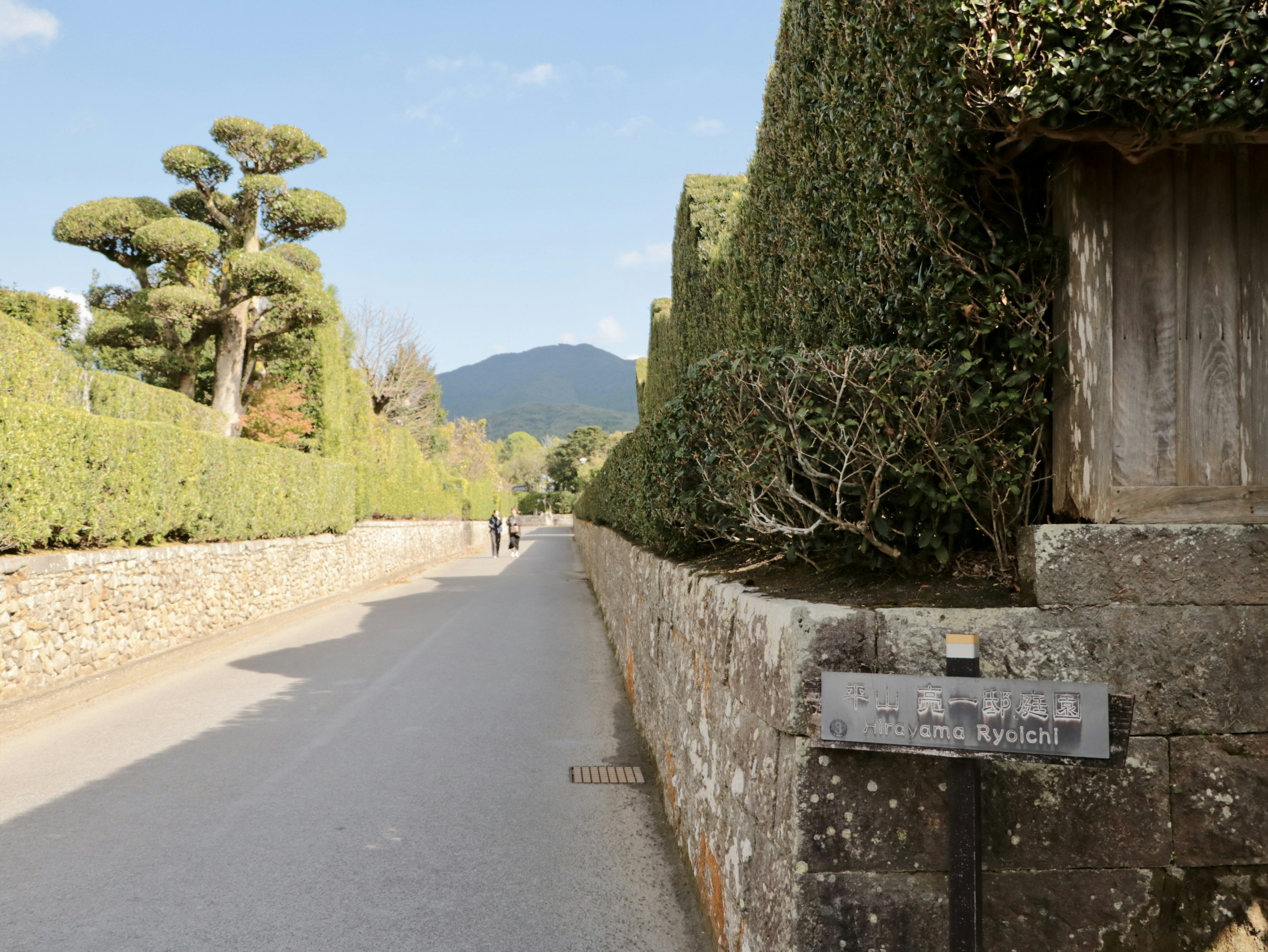 Chemin tranquille bordé de haies vertes et vue sur la montagne