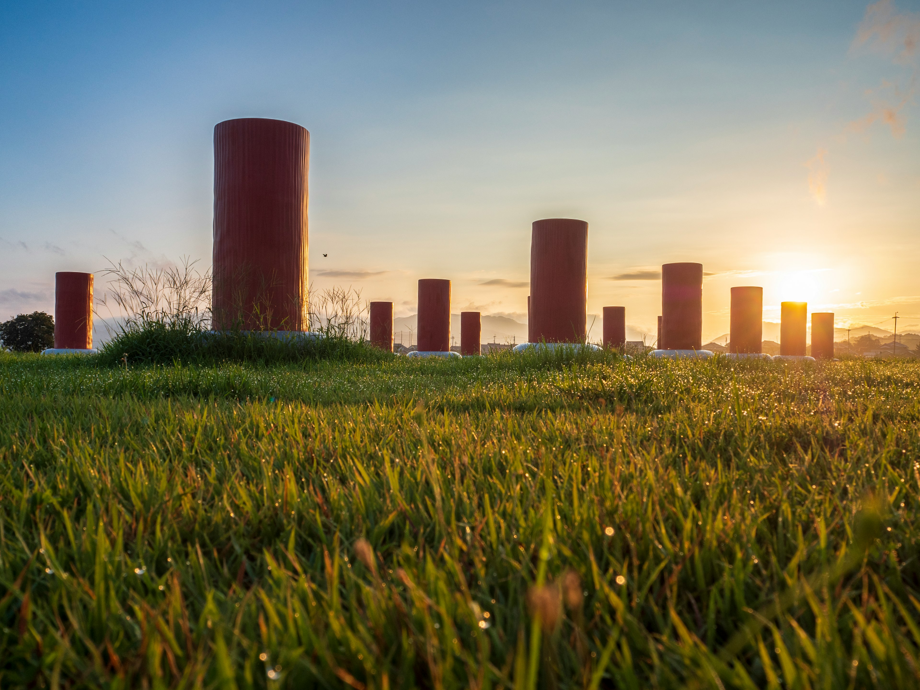 Landscape of green grass with red cylindrical pillars against a sunset