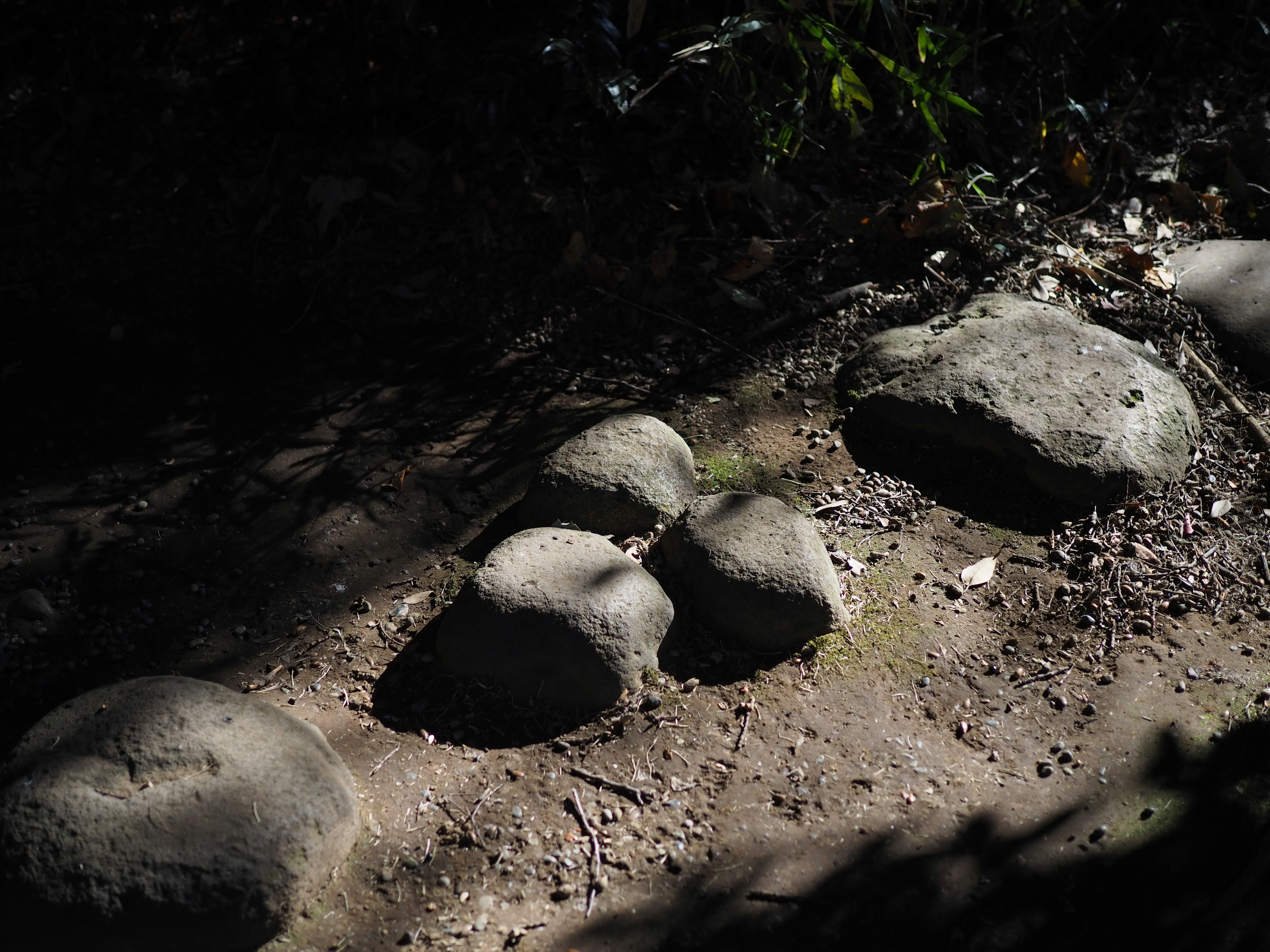 Grupo de piedras de forma irregular en el suelo