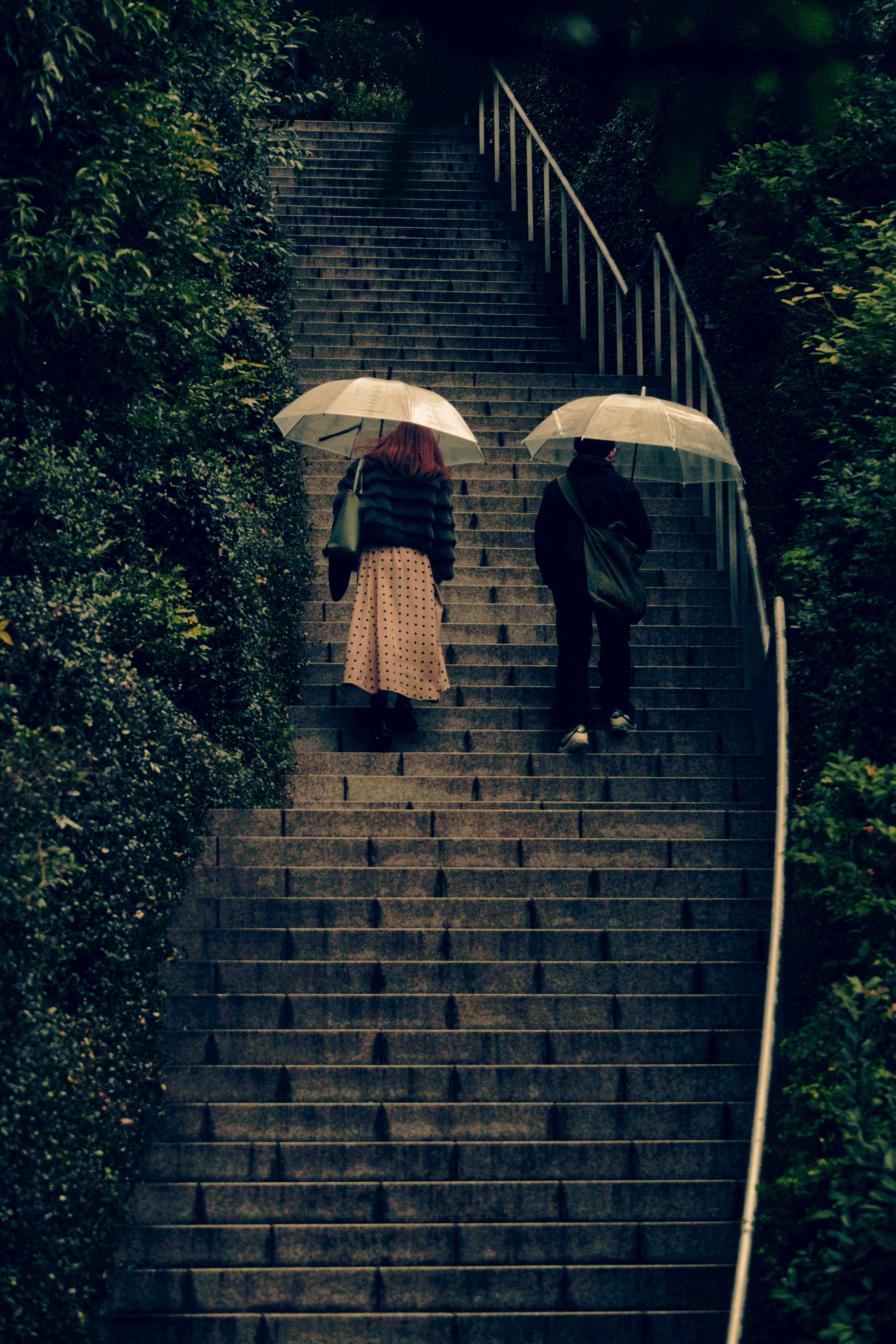 Zwei Personen mit Regenschirmen steigen eine Treppe hinauf, umgeben von Grün