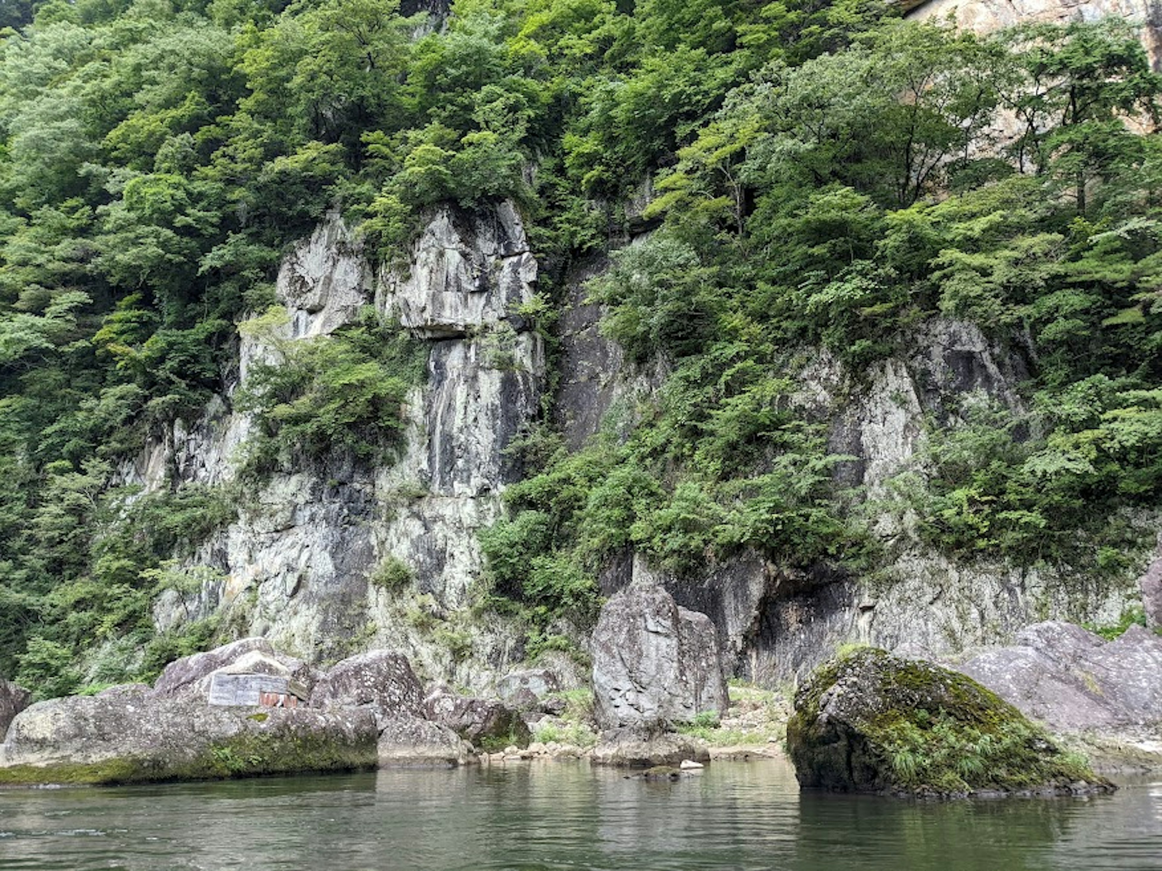 Lush green cliffside with water surface view