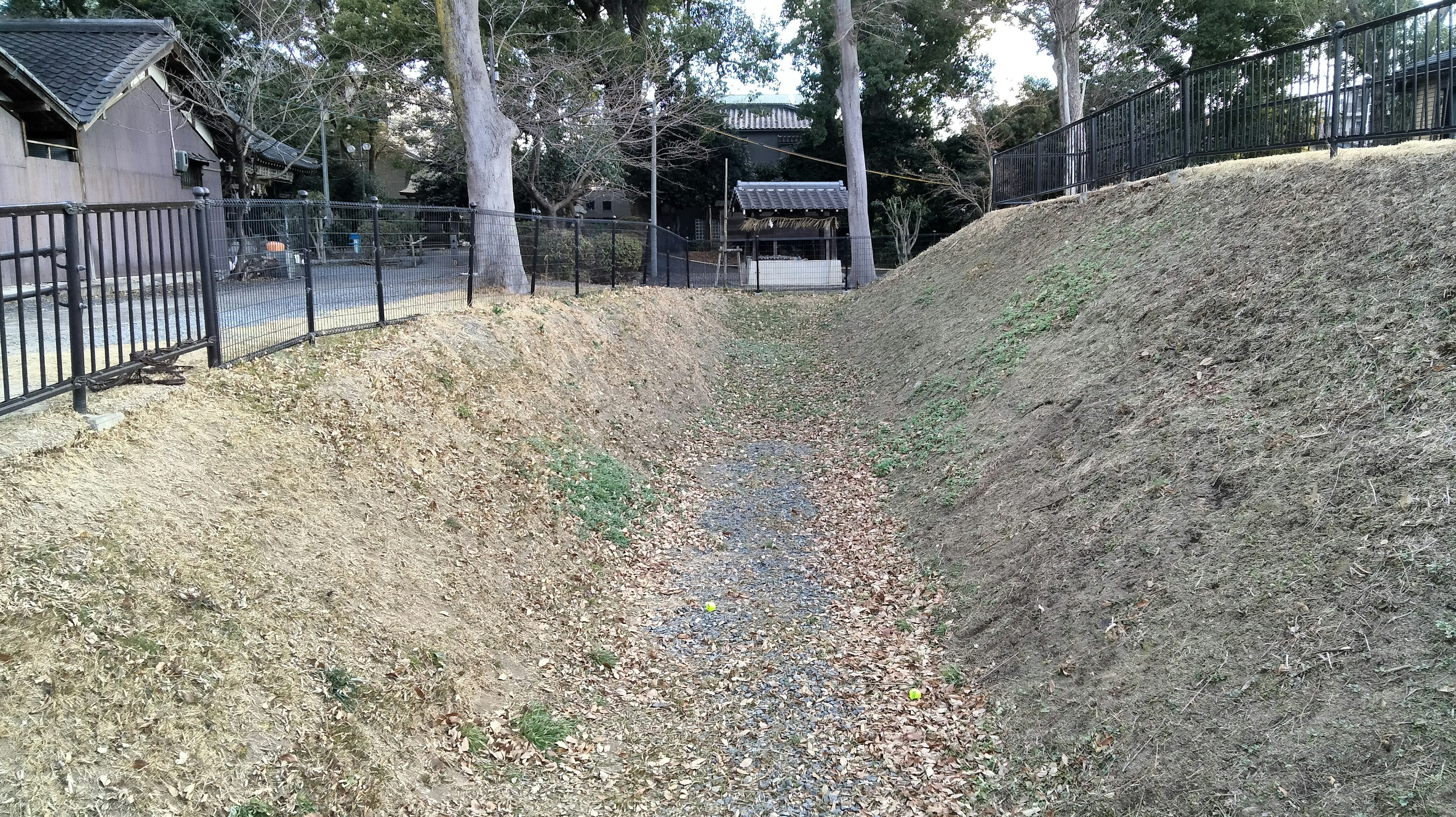 Un camino rodeado de montículos de hierba y árboles