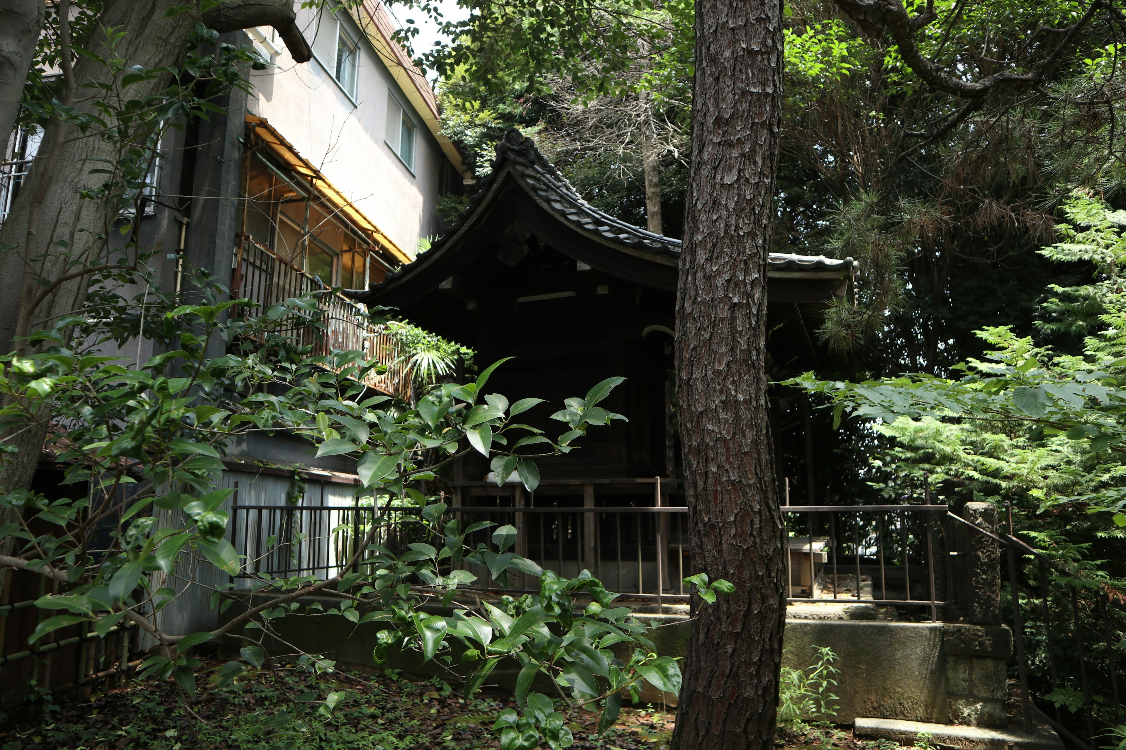 Bâtiment traditionnel entouré de verdure luxuriante et d'arbres