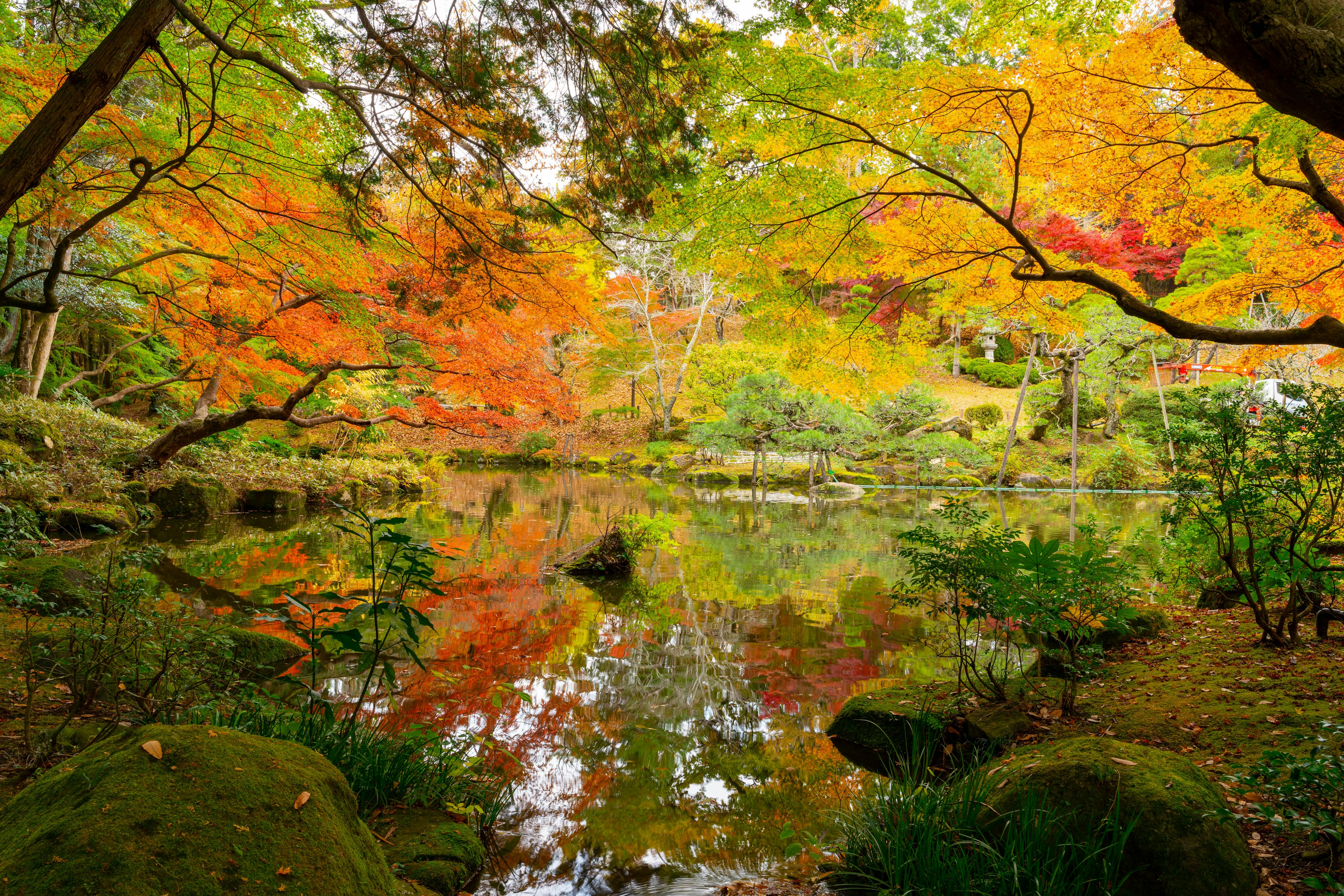 Ruhiger Teich, der lebhafte Herbstblätter spiegelt