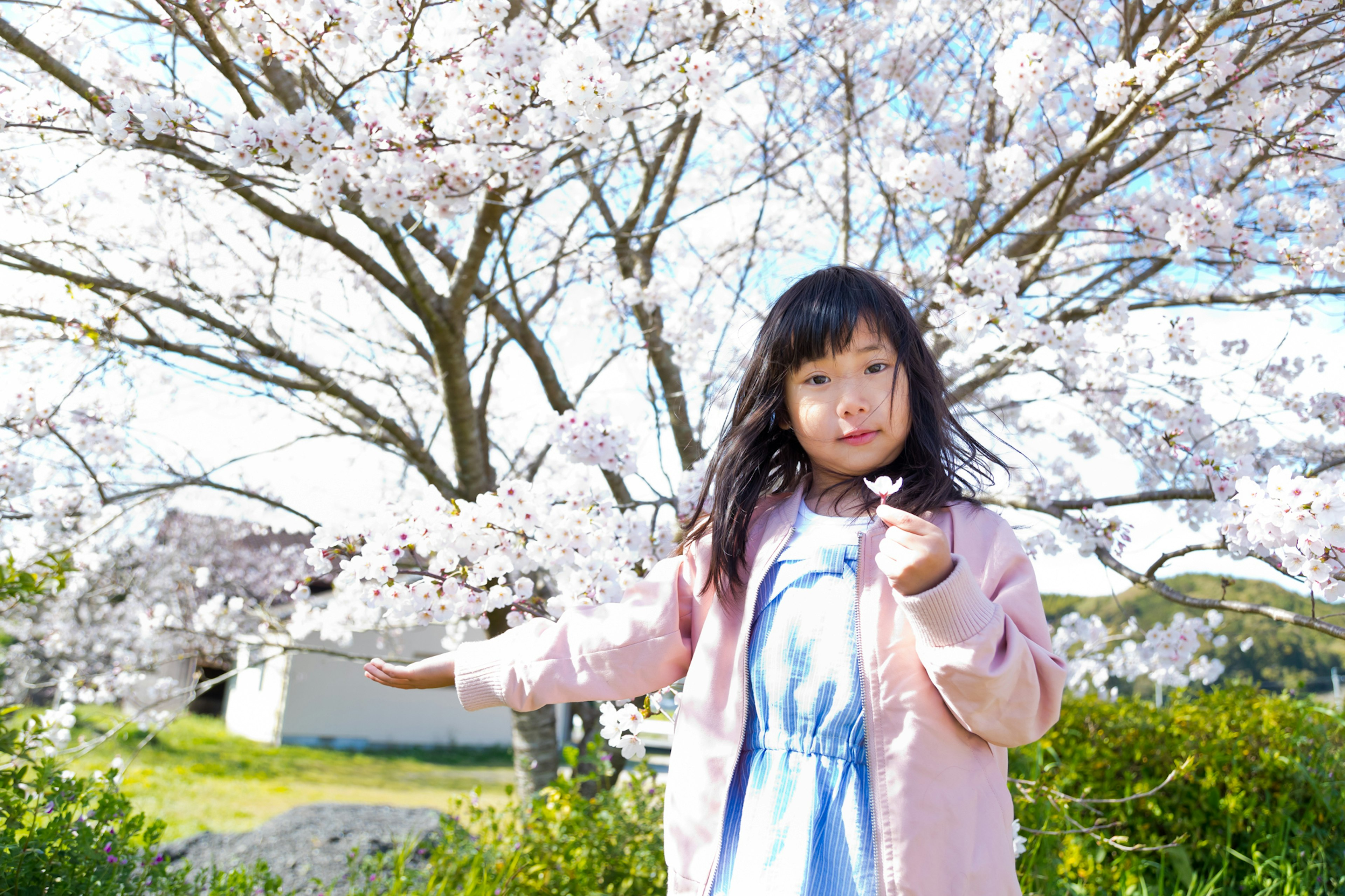 Una niña sosteniendo una flor frente a un árbol de cerezo en flor