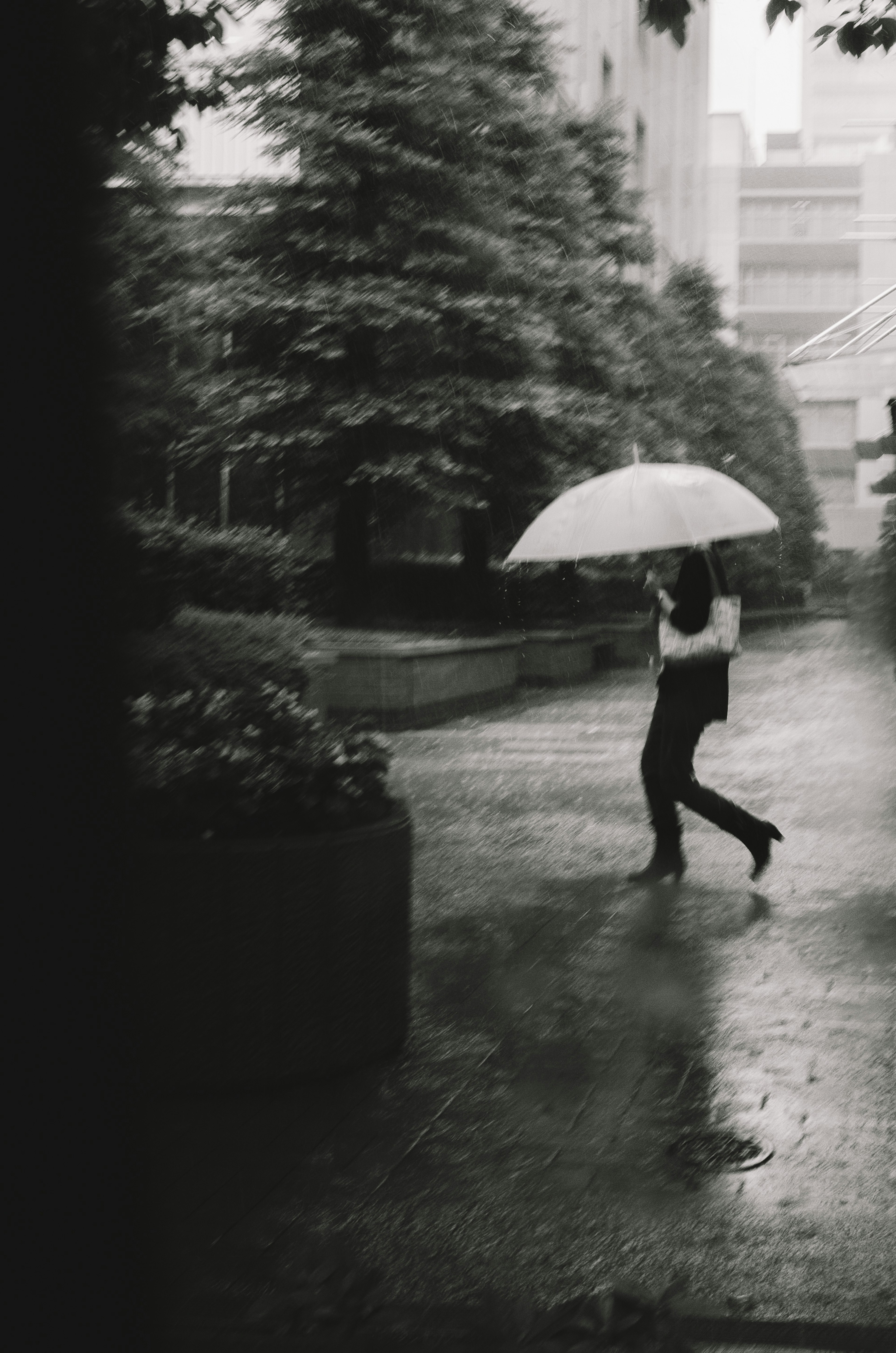 Foto en blanco y negro de una persona caminando con un paraguas bajo la lluvia