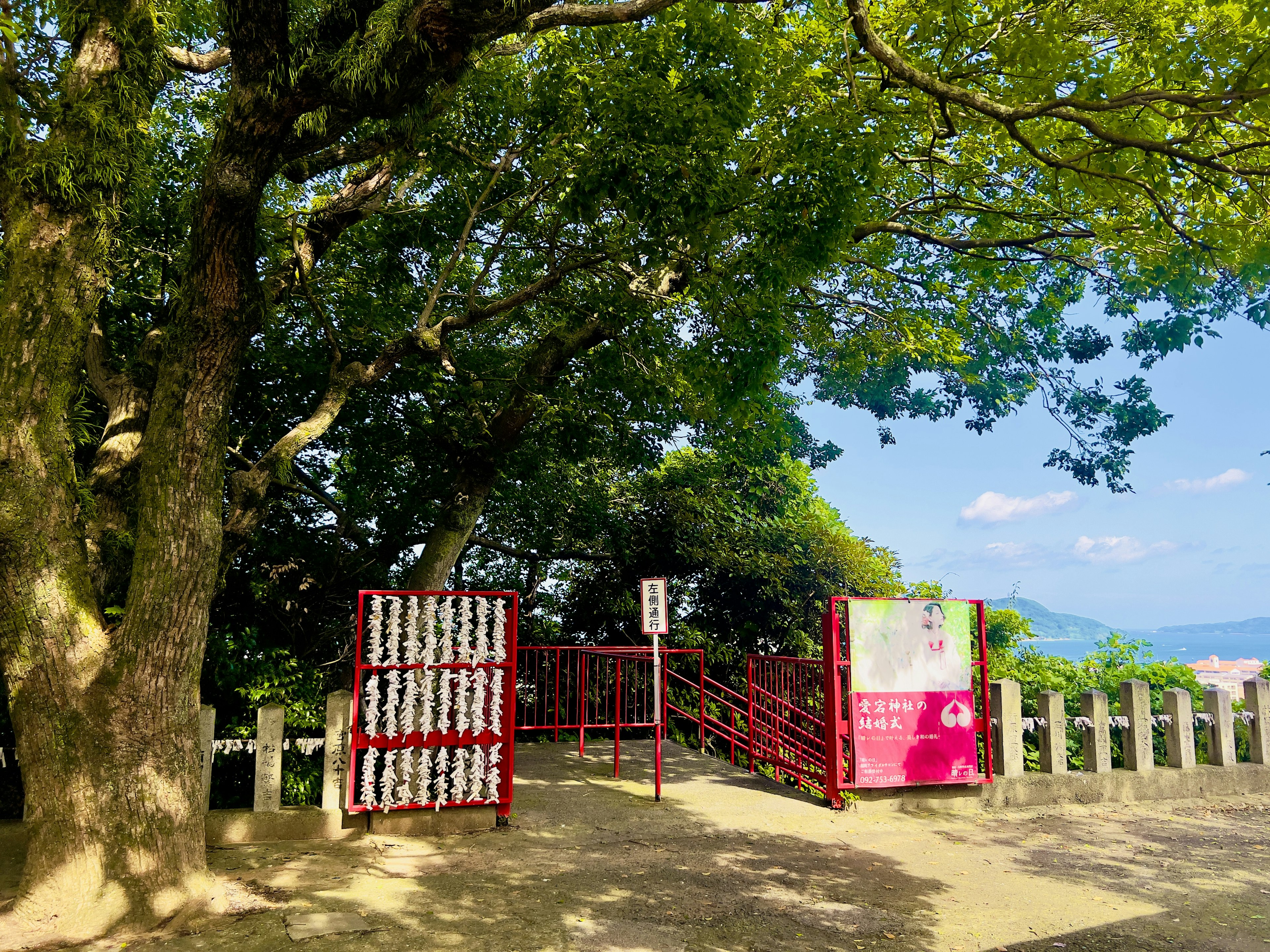 Scenic view featuring a red gate and sign surrounded by lush green trees