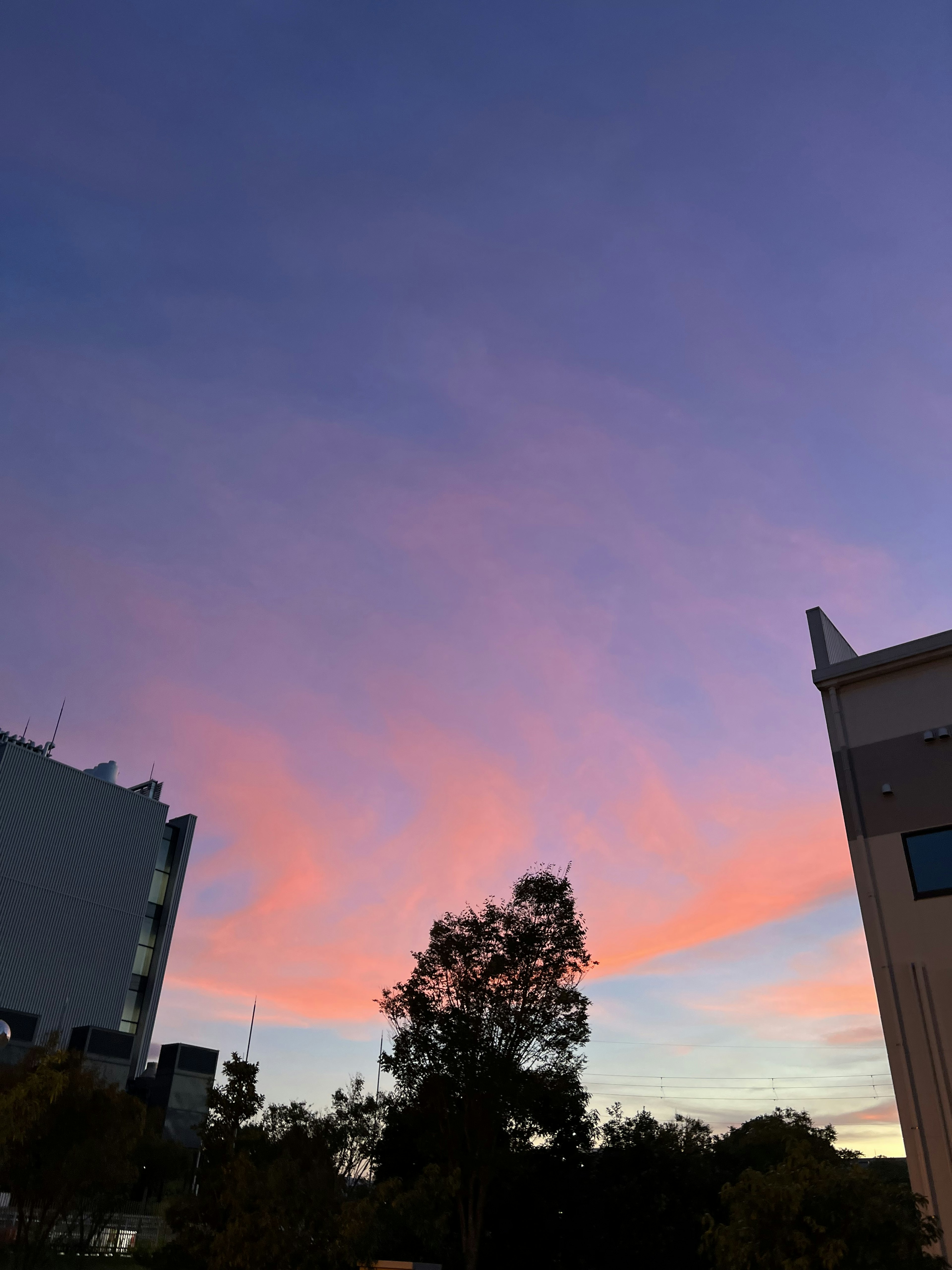 五彩斑斓的夕阳天空，粉色和紫色的云彩