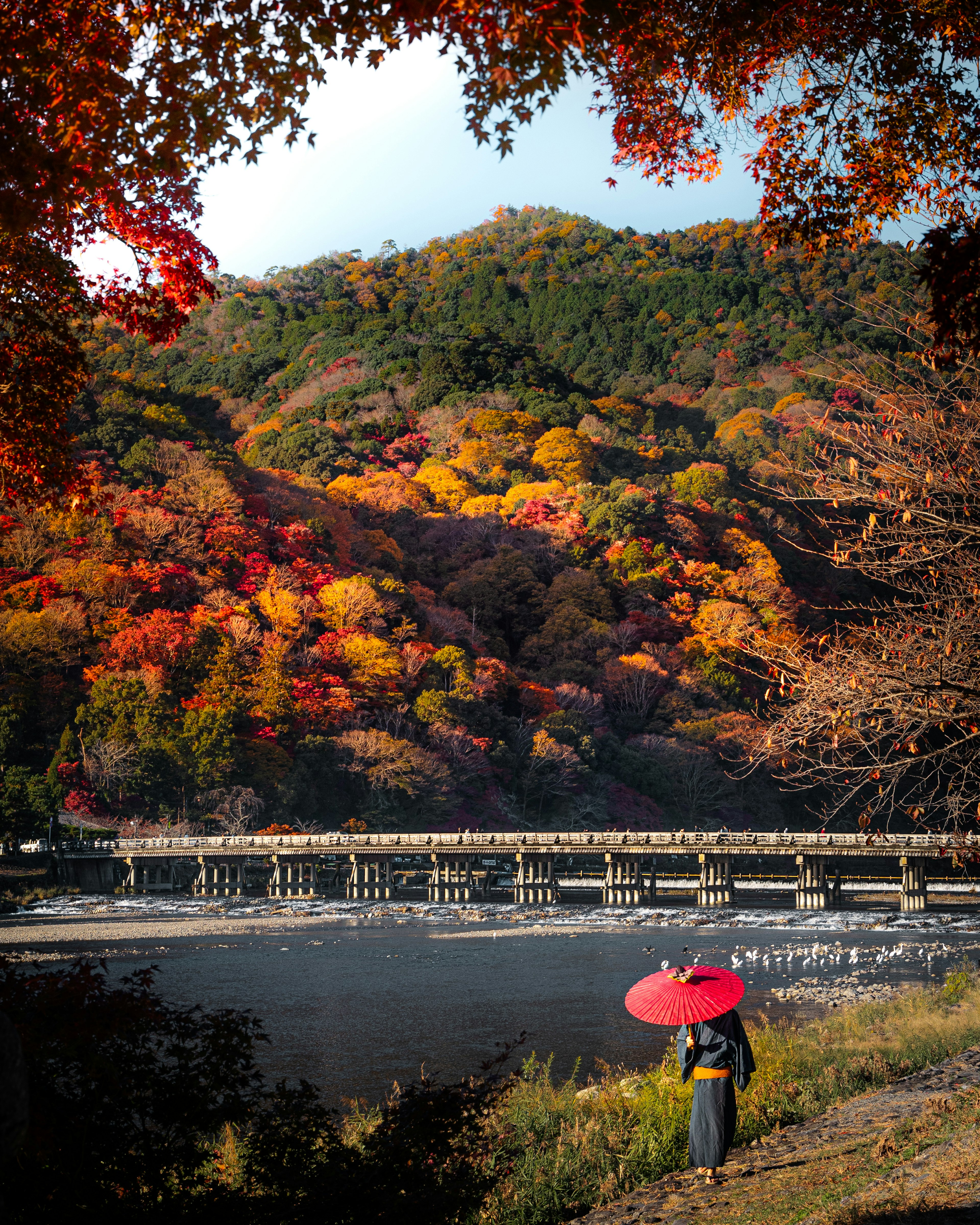 女性手持紅傘，背景為繽紛的秋葉和河流