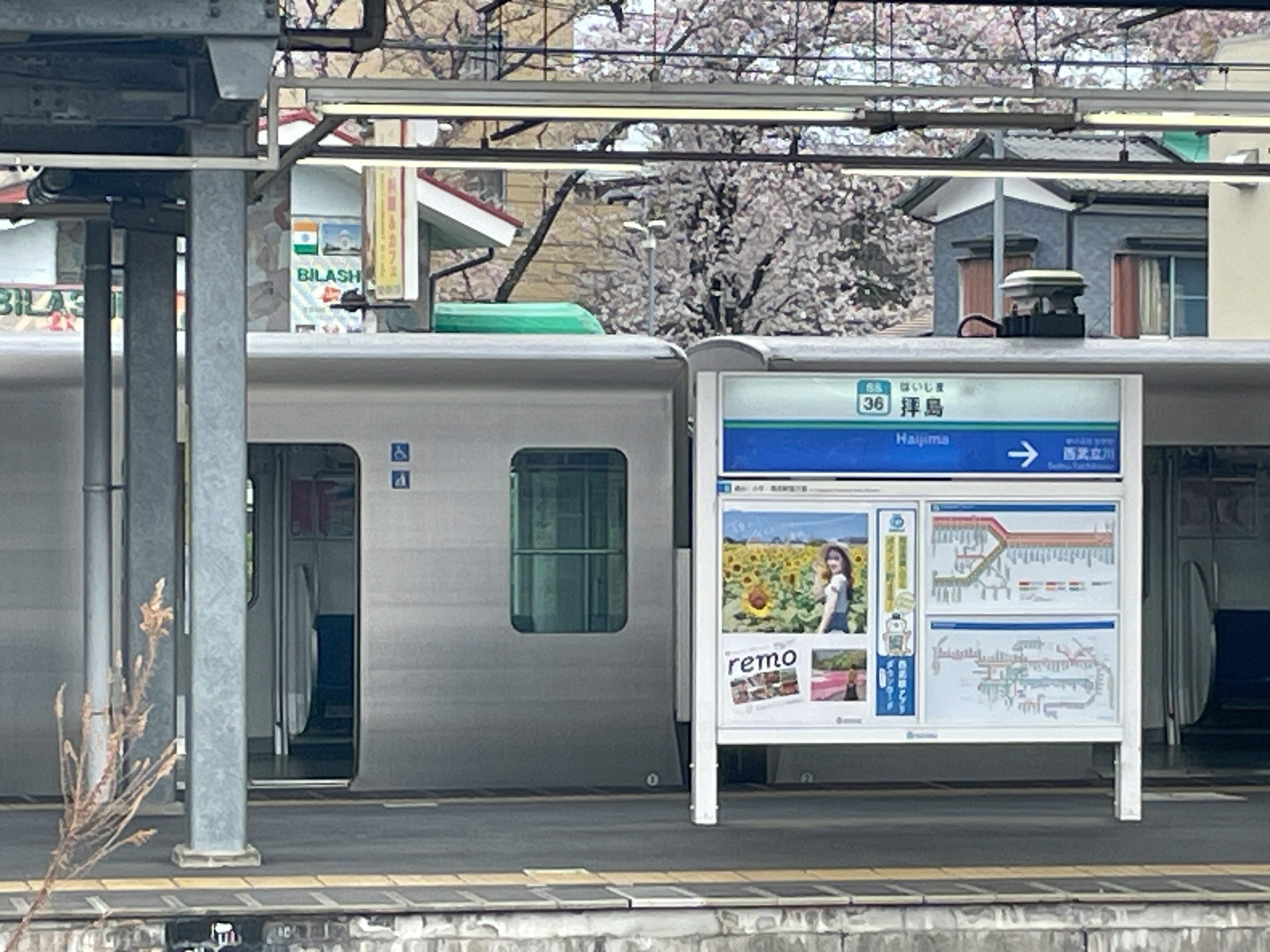 Treno fermo su una banchina con un pannello informativo Alberi di ciliegio sullo sfondo