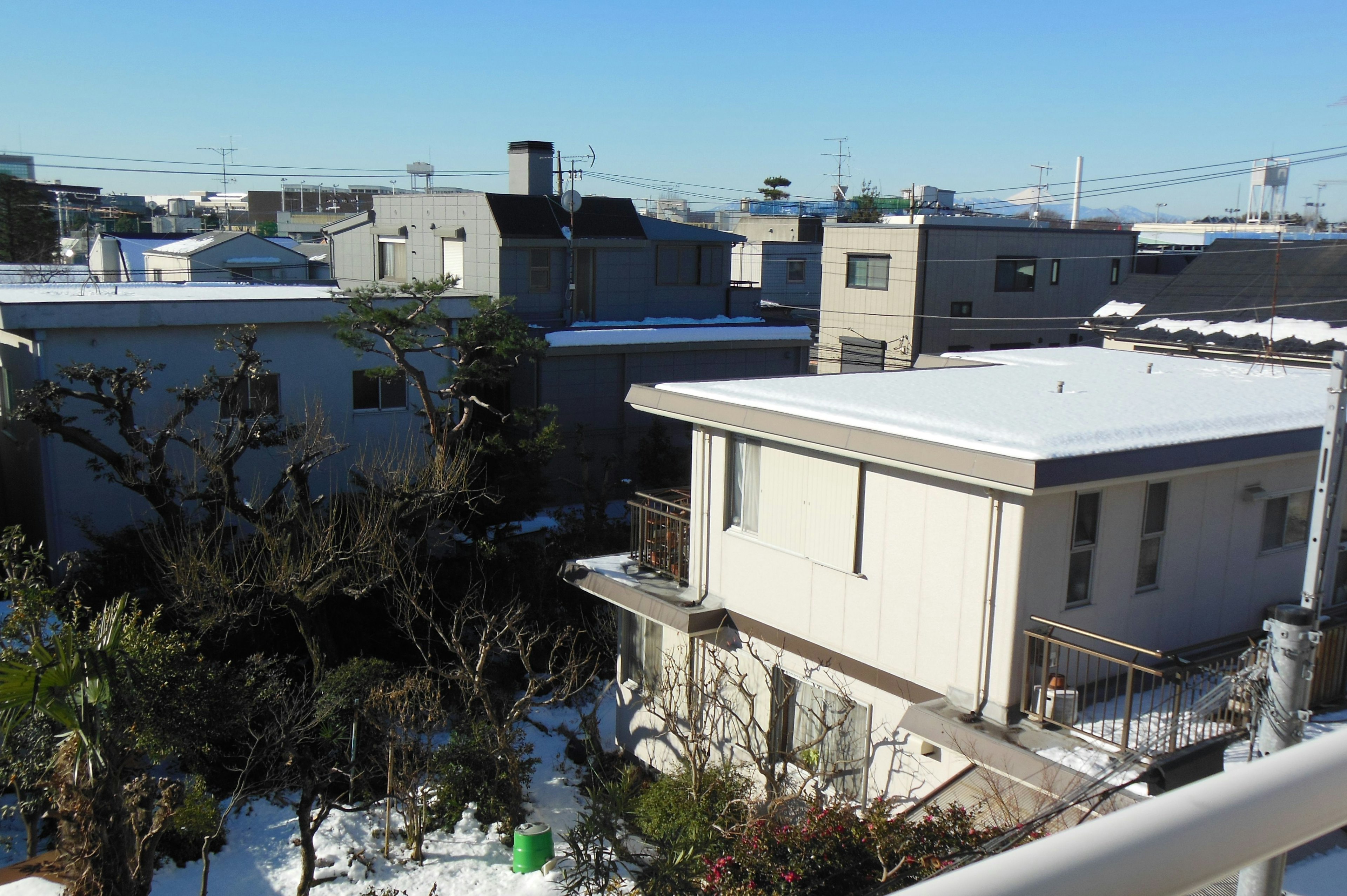 Snow-covered houses and garden view