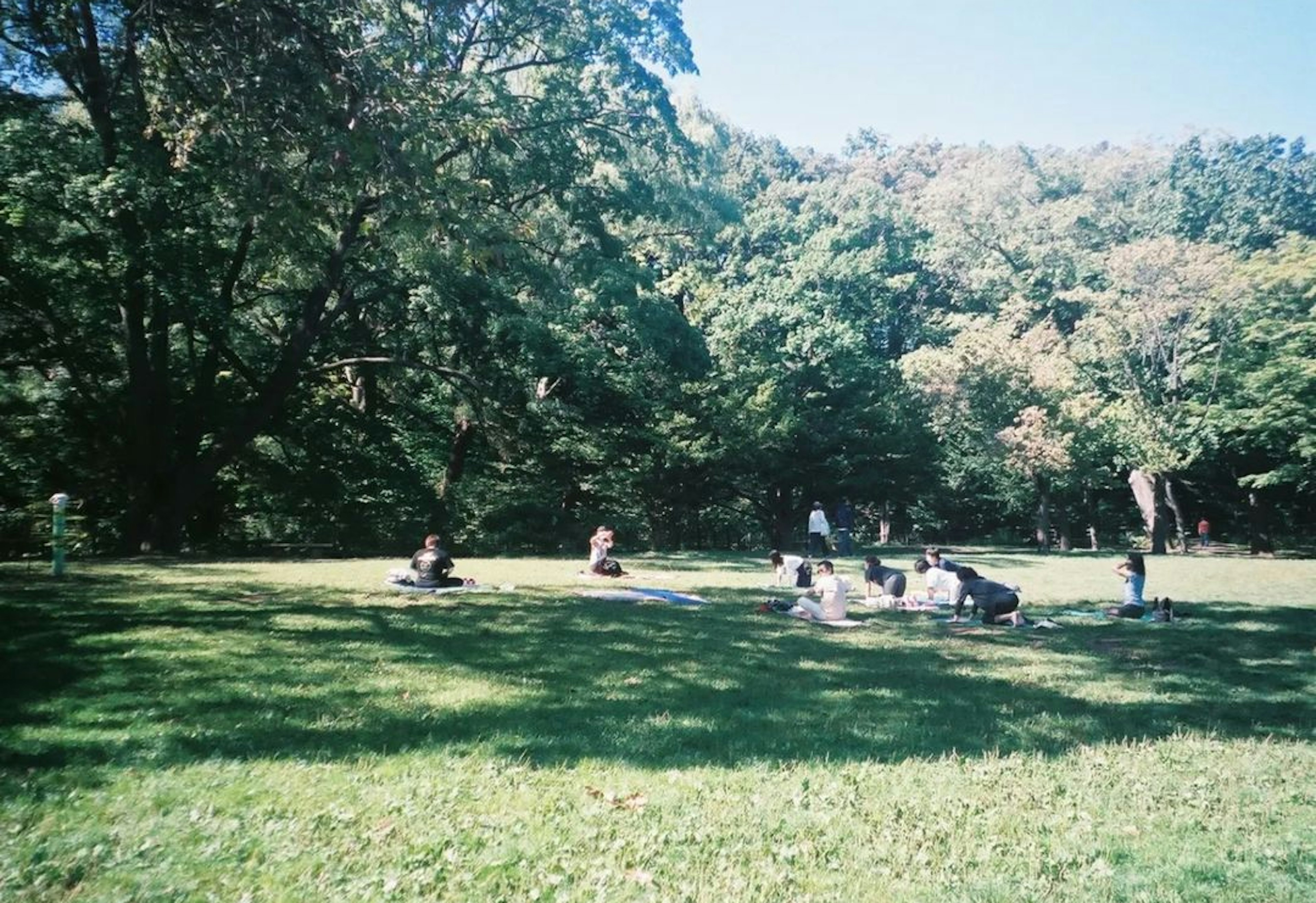 Persone che godono di un picnic in un parco verdeggiante