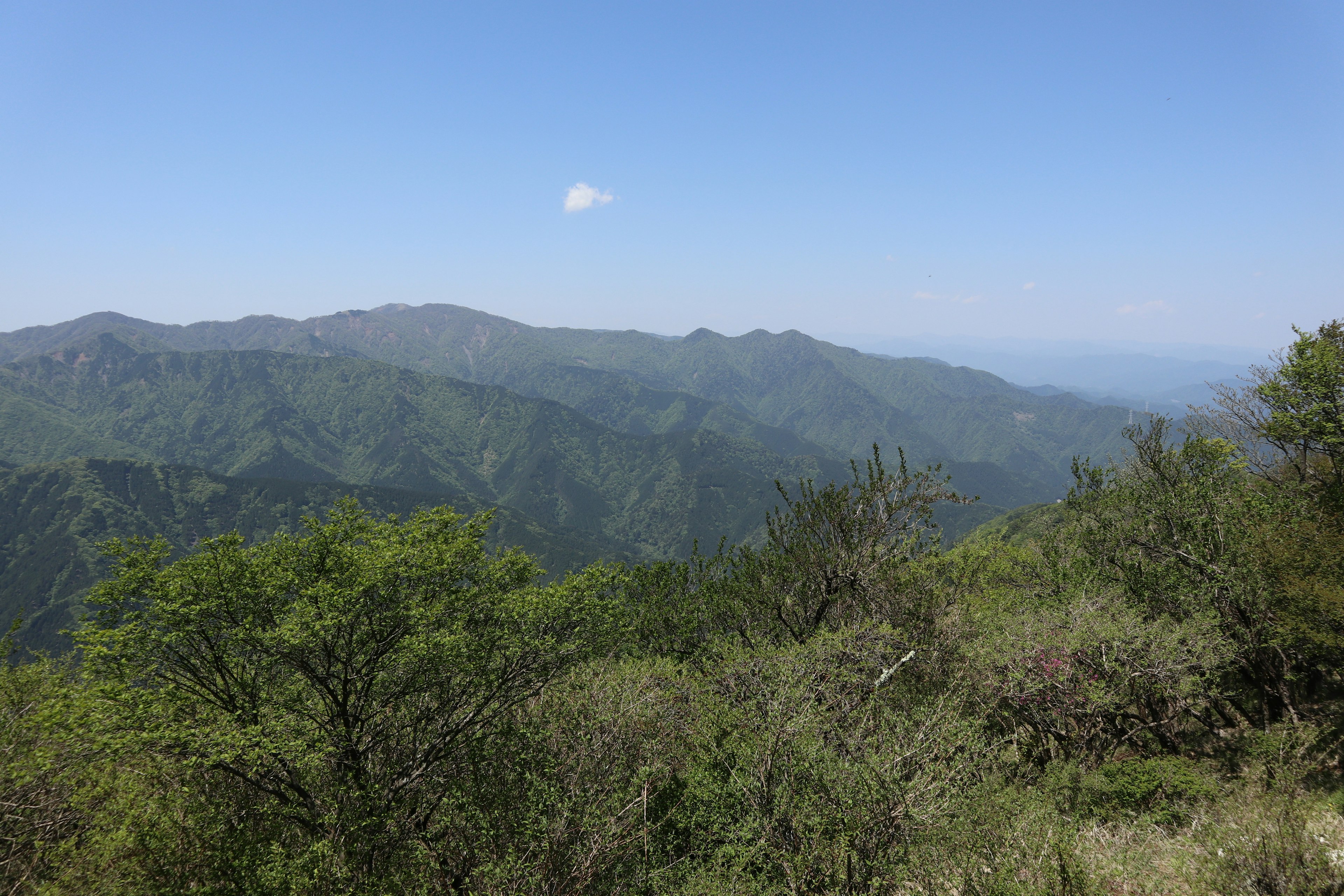 山々と青空を背景にした緑豊かな風景