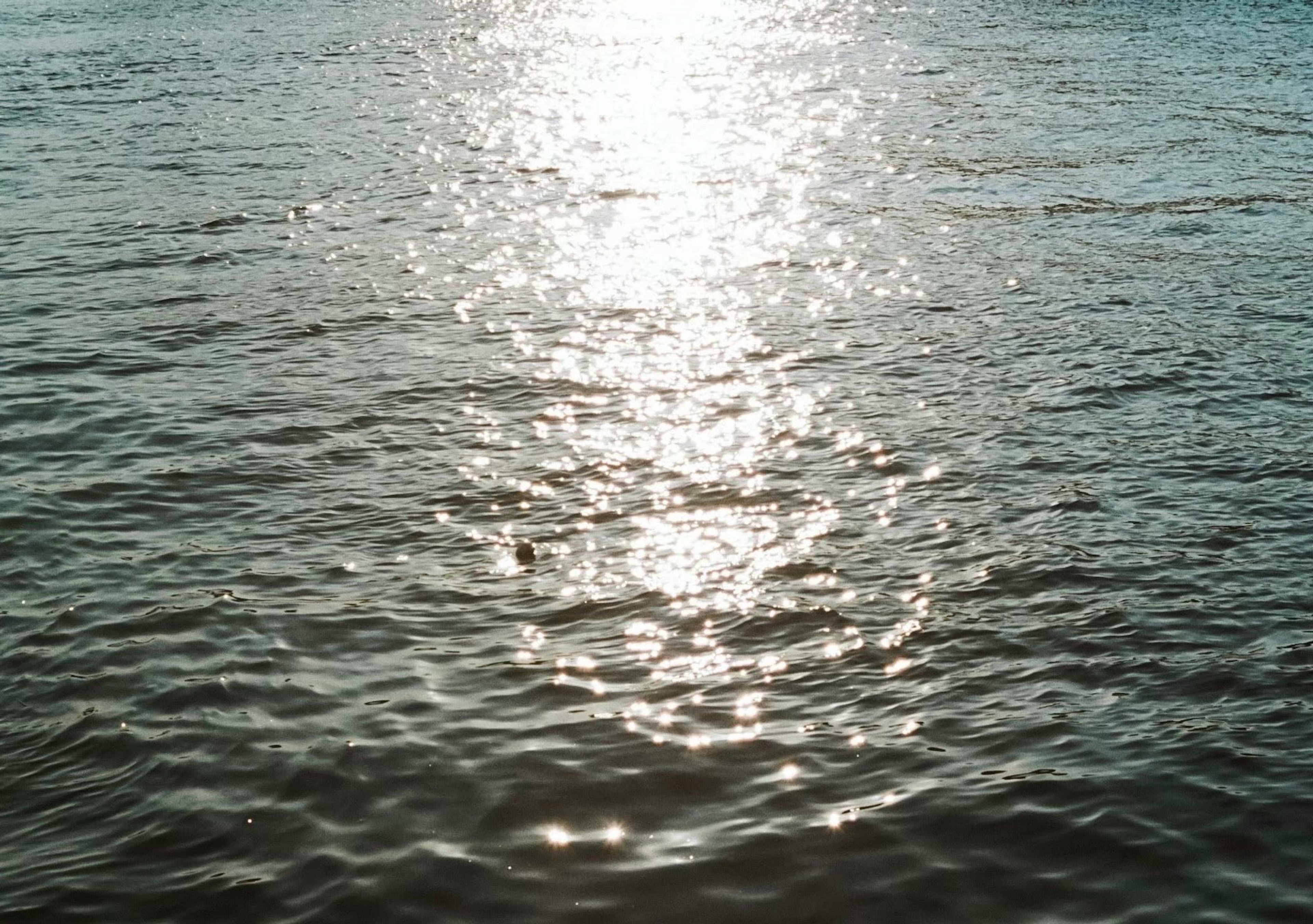 Una vista serena dell'acqua che riflette la luce in un mare calmo