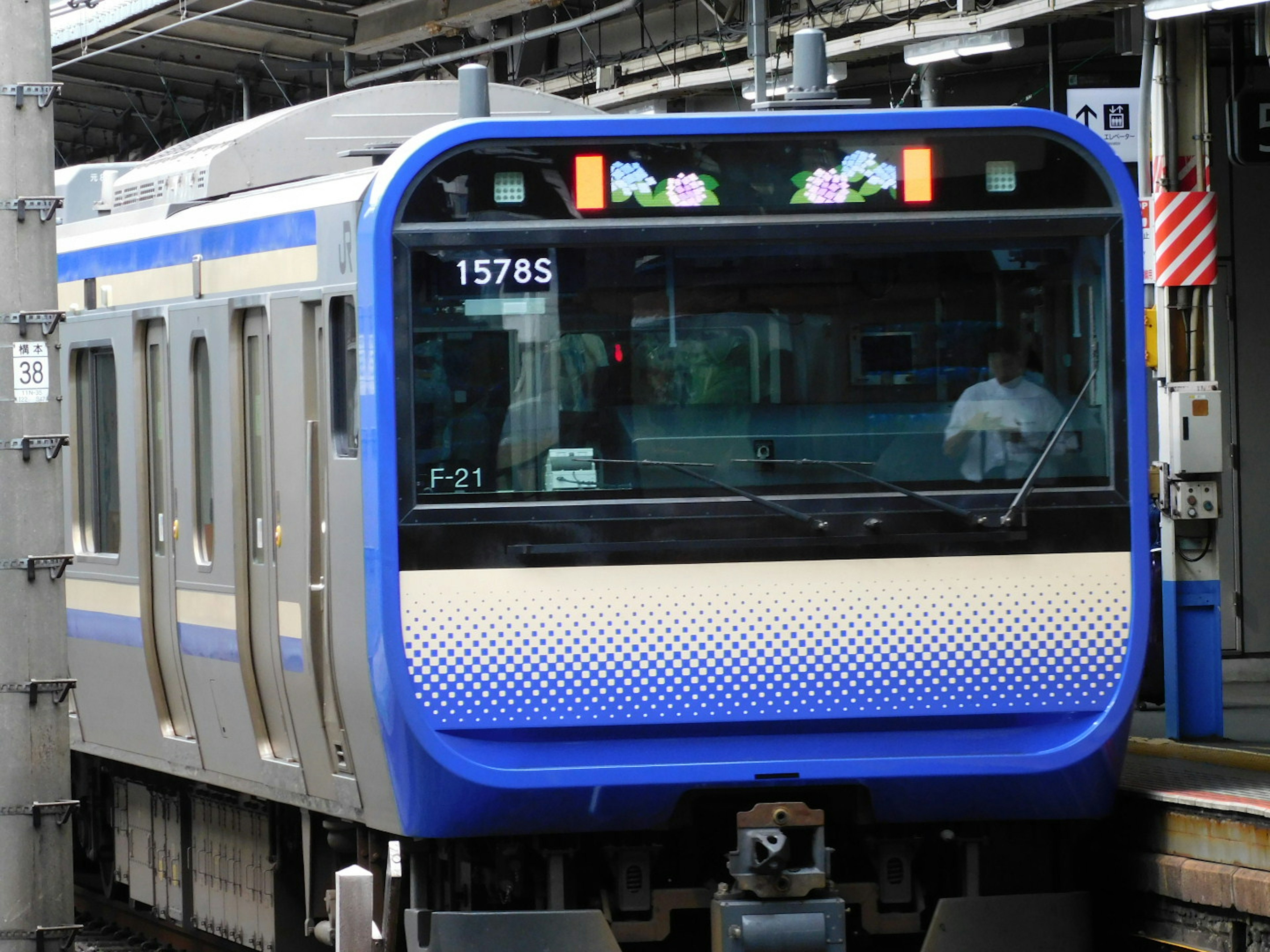 青い線の電車が駅に停車している