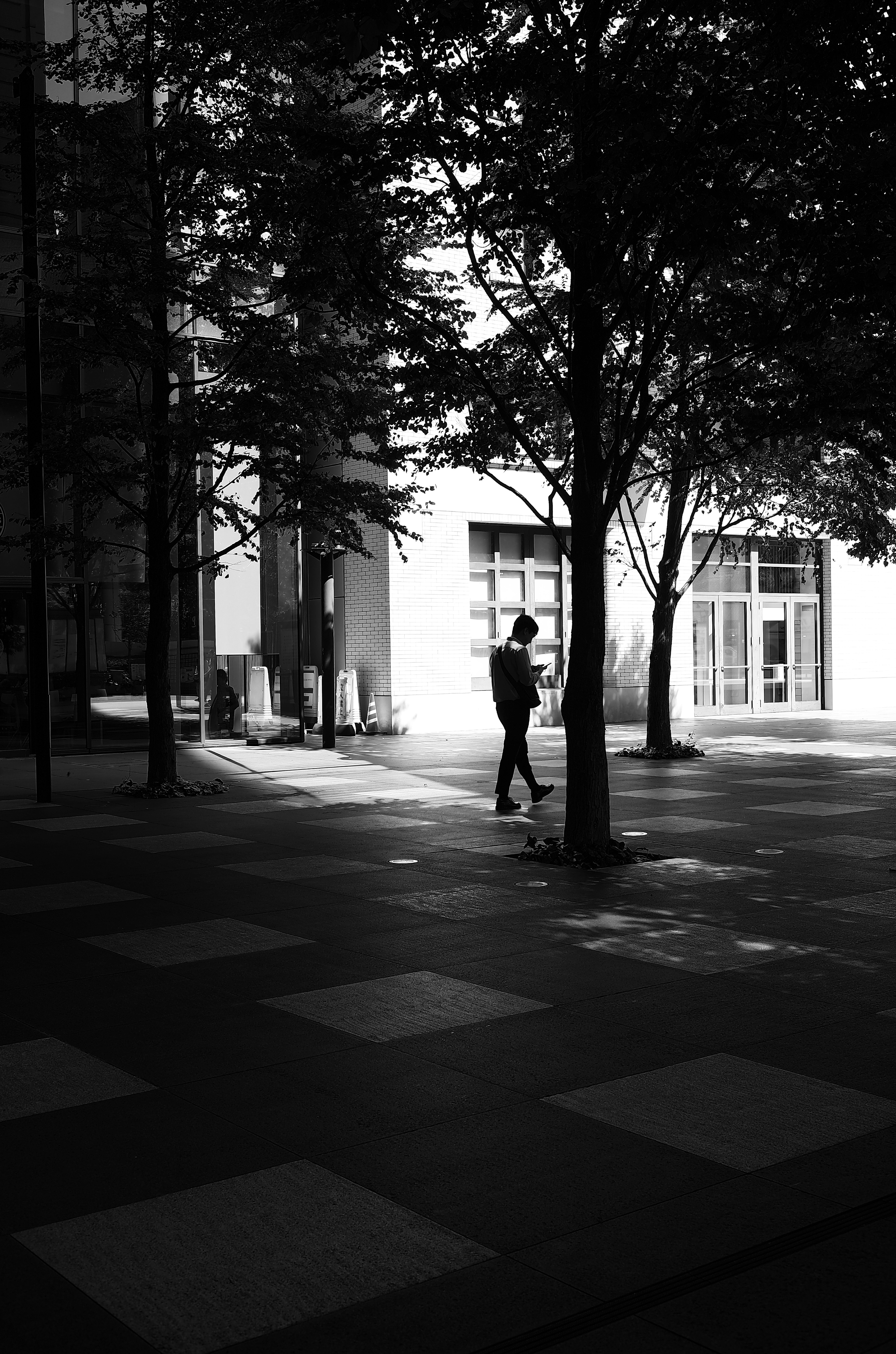 Persona che cammina in una scena urbana in bianco e nero con alberi circostanti