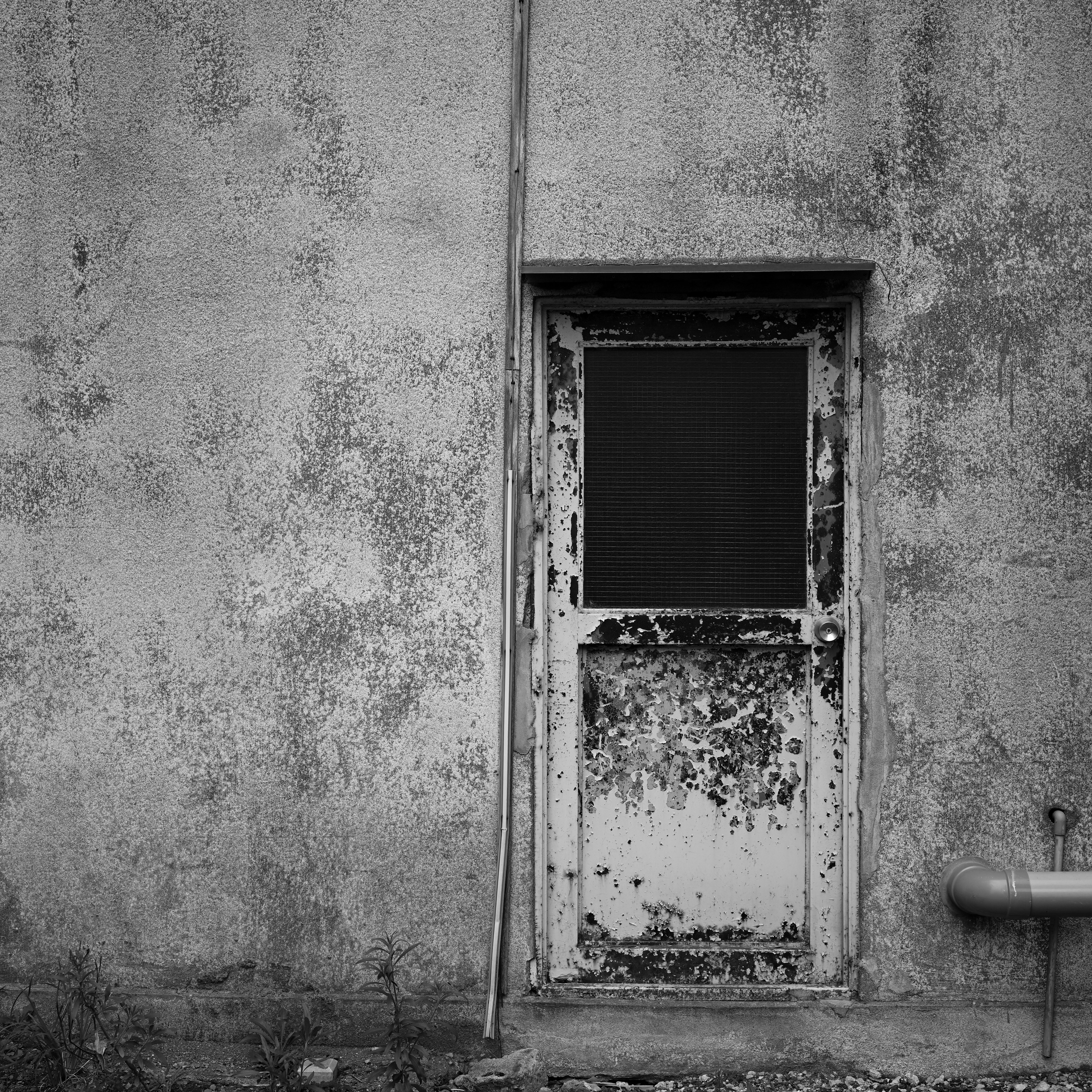 An old door on a weathered wall