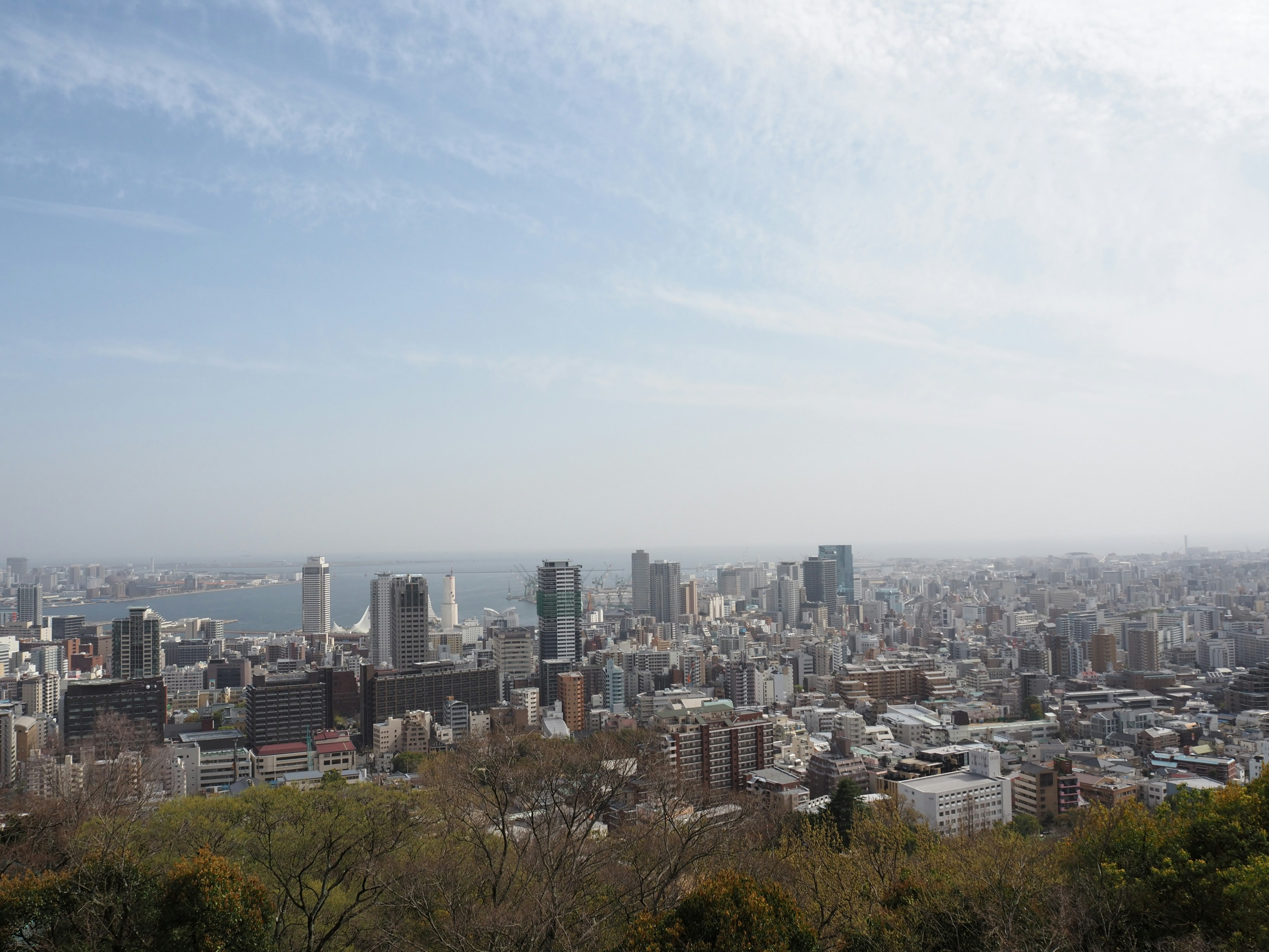 Vista panoramica di un skyline cittadino con grattacieli e mare