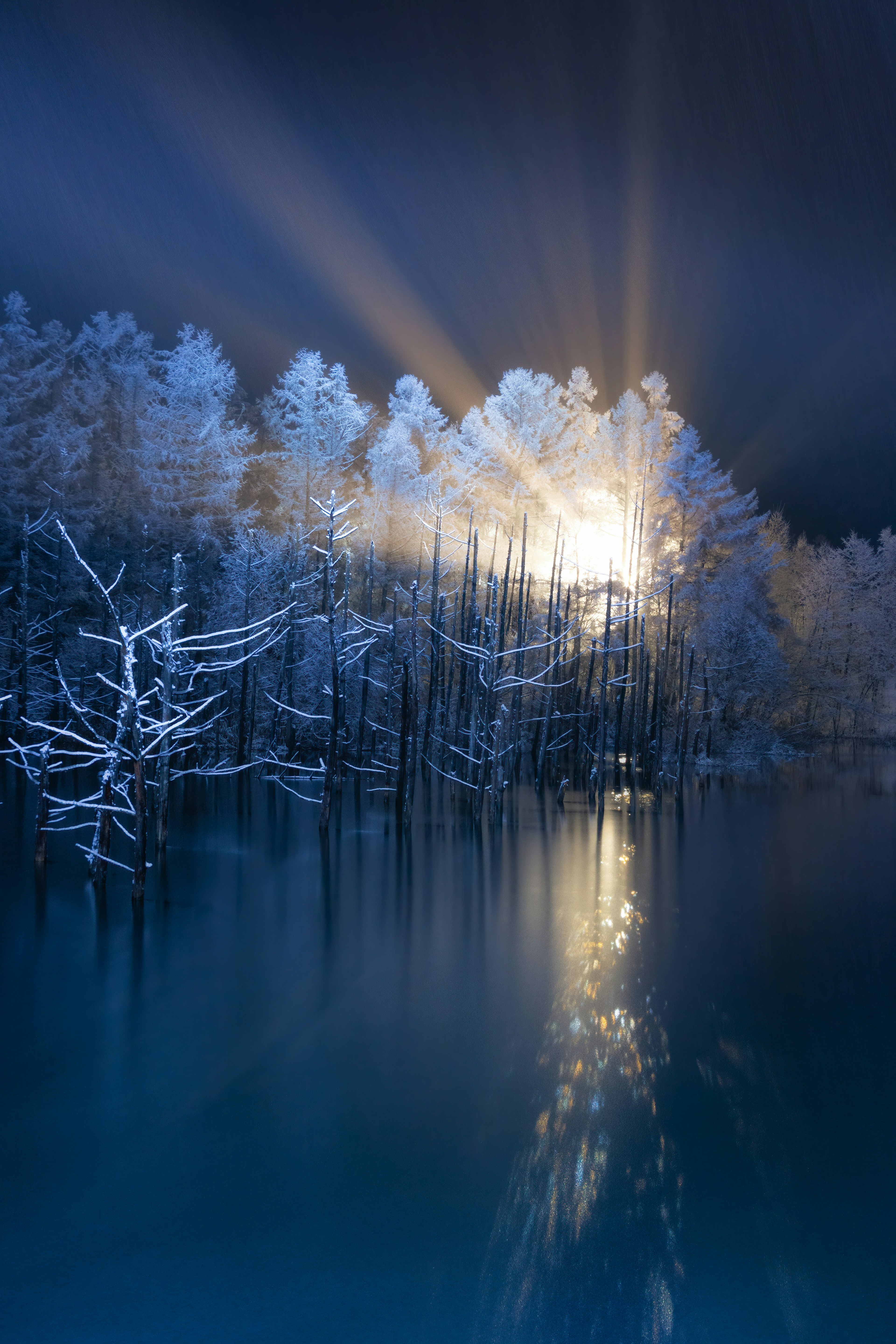 Wunderschöne Landschaft mit schneebedeckten Bäumen, die sich im Wasser spiegeln