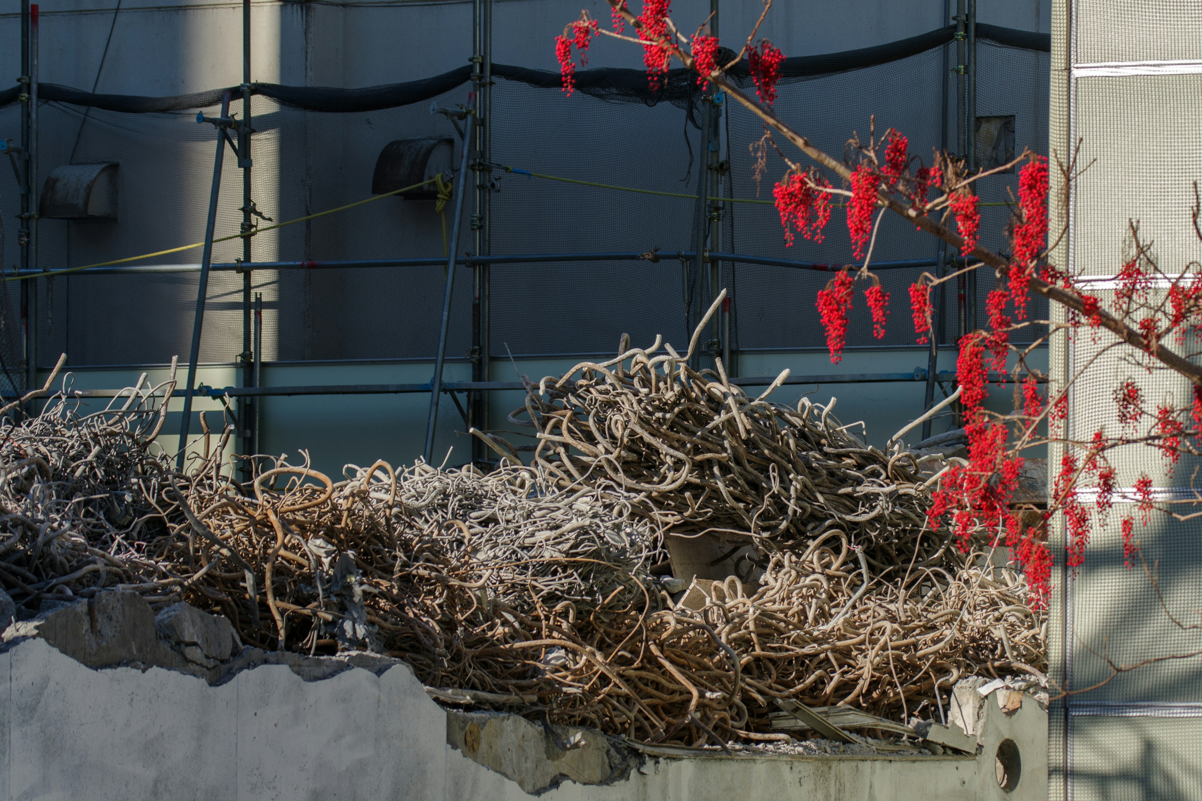 A section of a building with a pile of white ropes and red flowers in the background