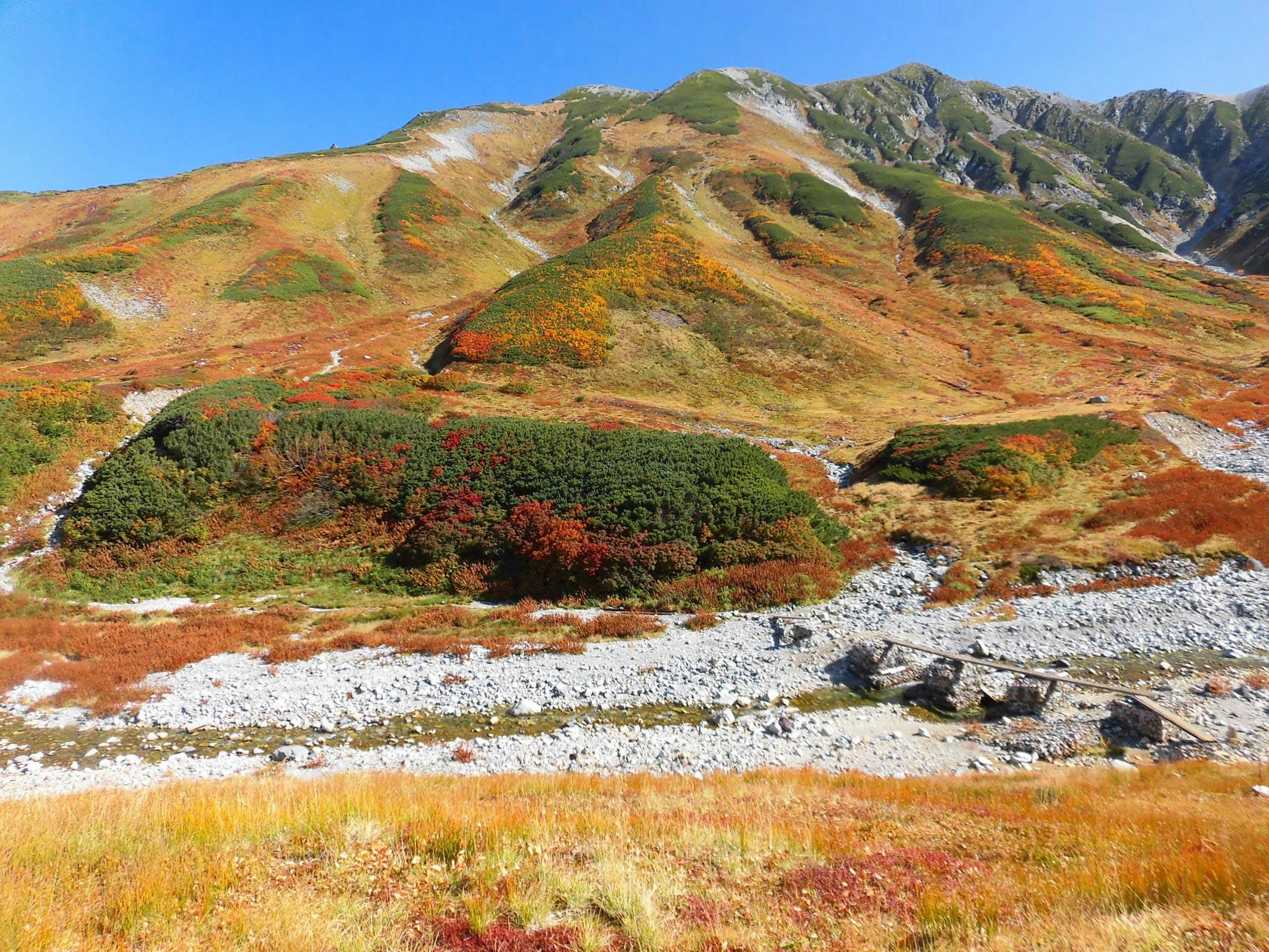 美しい秋の山景色、赤やオレンジの葉が広がる山肌、青空が広がる背景