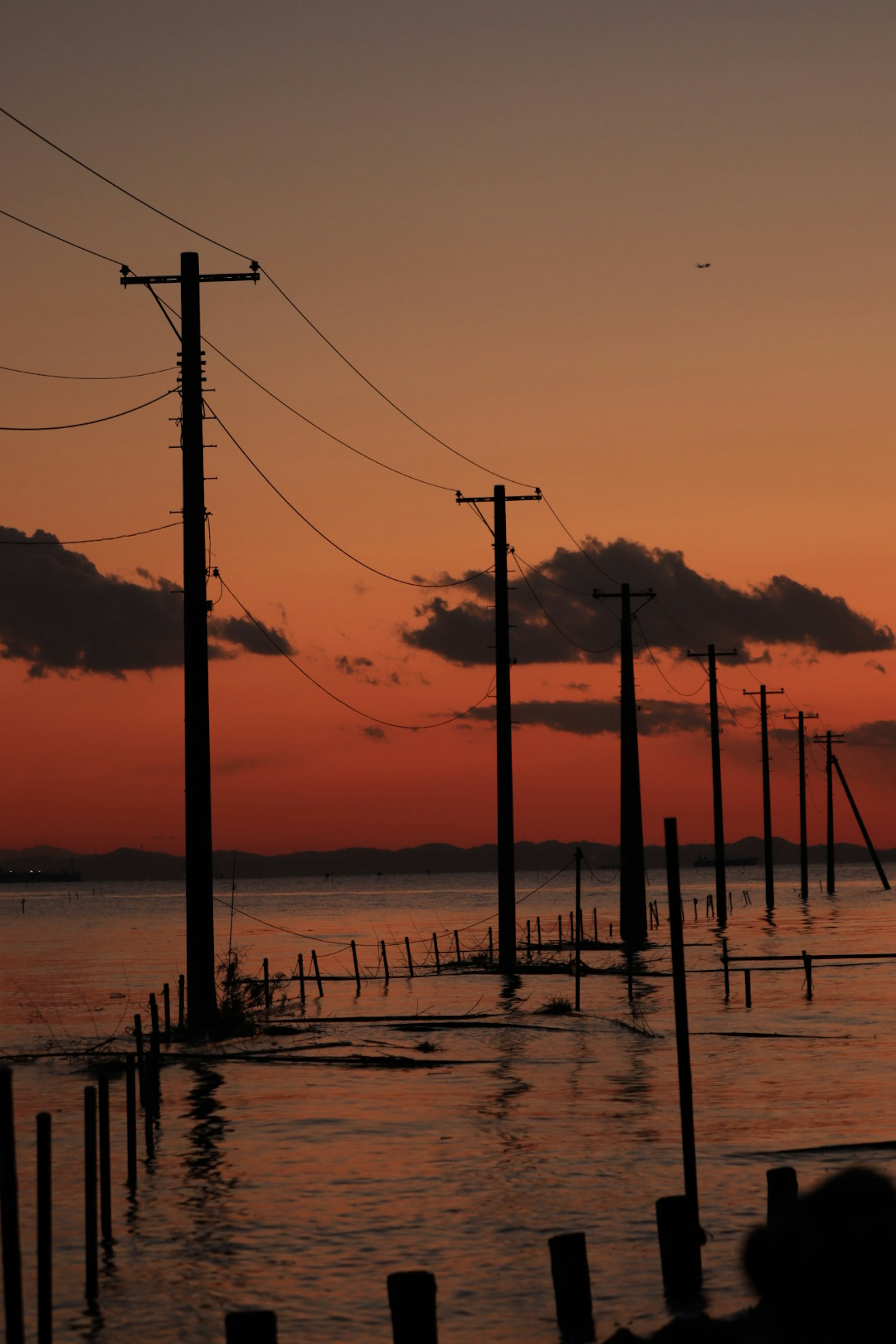 夕焼け空の中に立ち並ぶ電柱と水面の反射