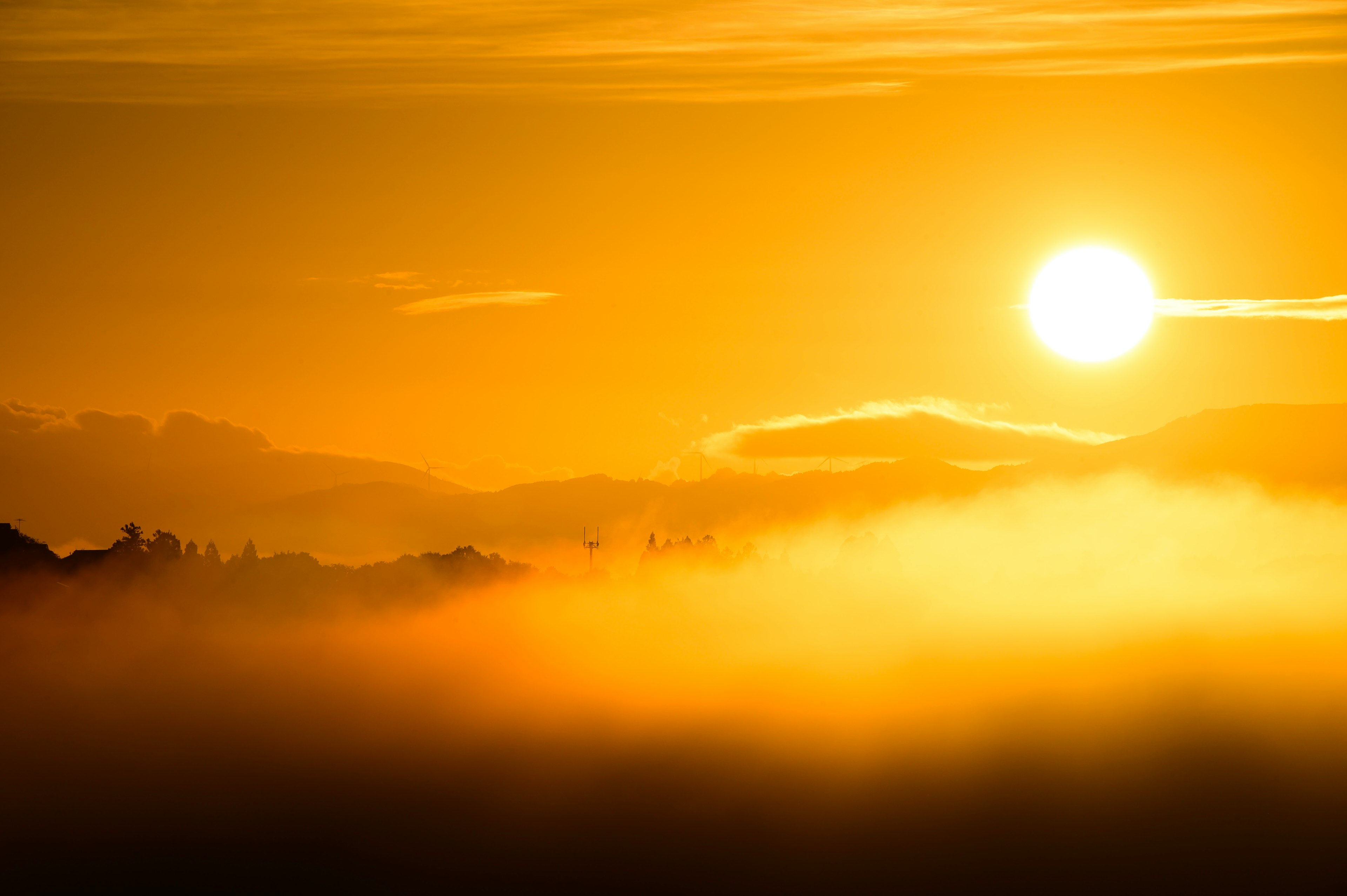 A beautiful sunrise emerging through fog