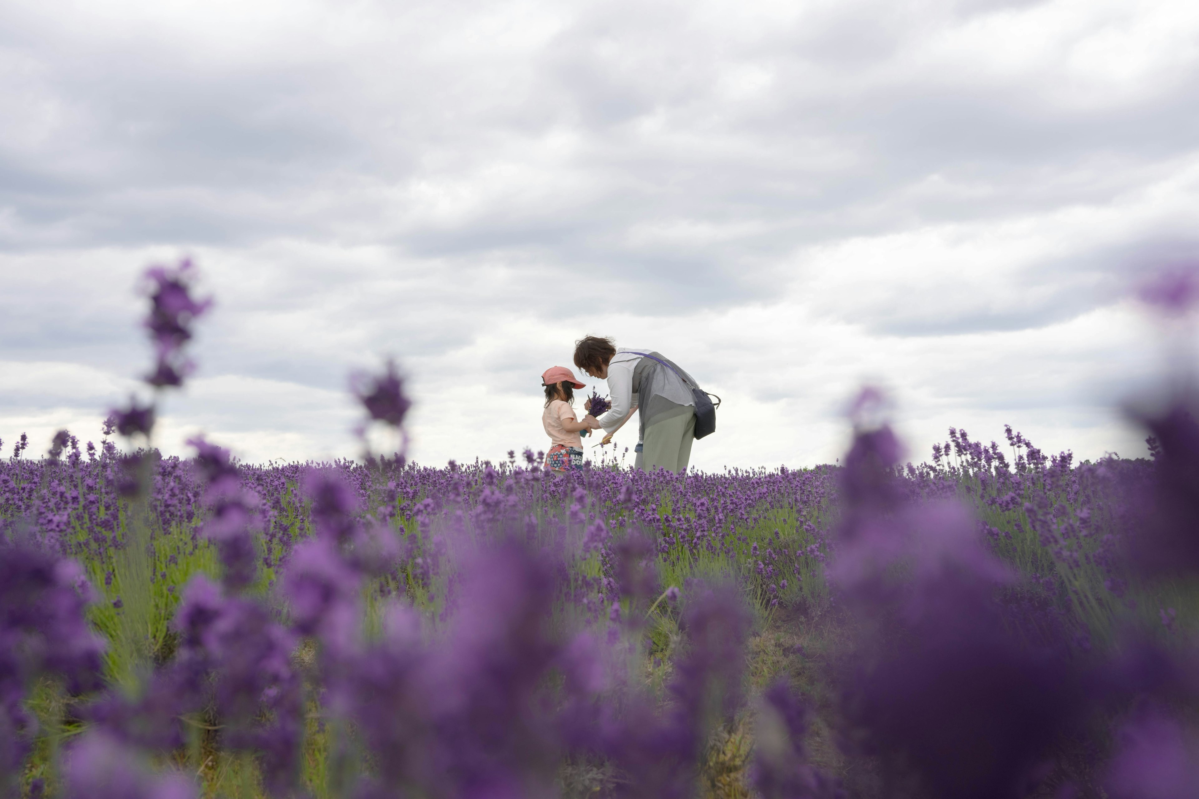 Pasangan romantis berpelukan di ladang lavender ungu