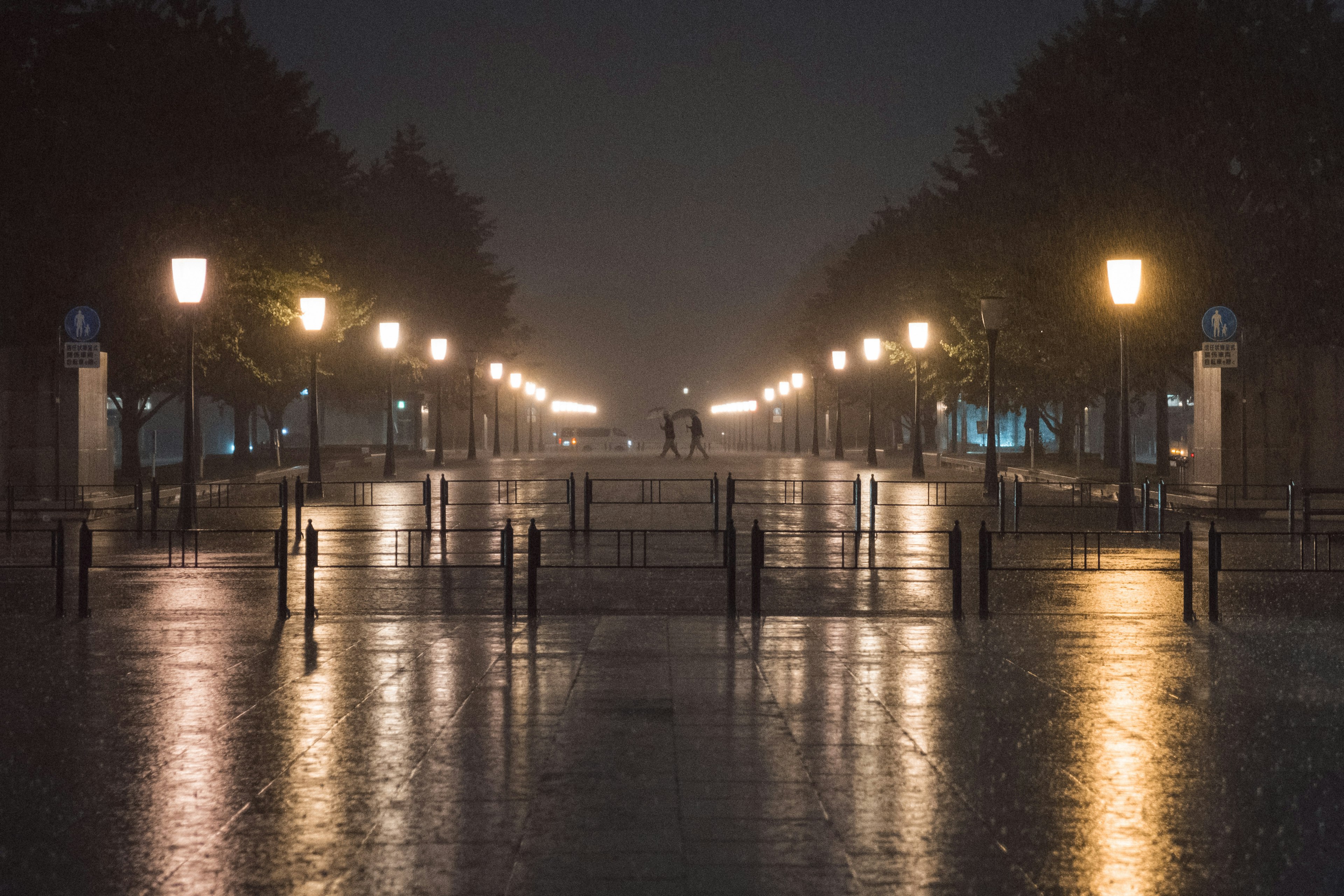 雨水浸湿的公园小径在夜晚被路灯照亮