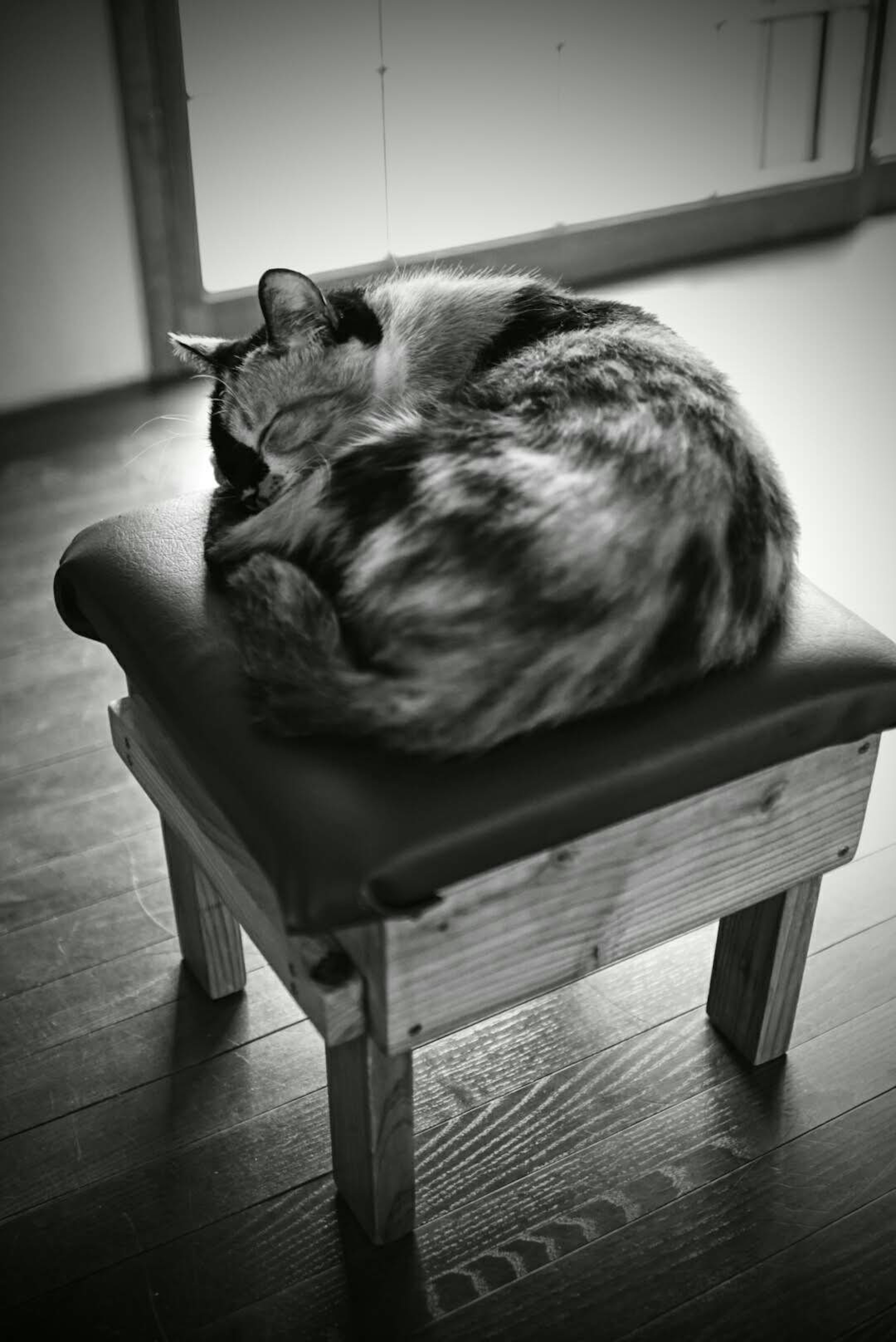 A black and white cat curled up sleeping on a wooden stool