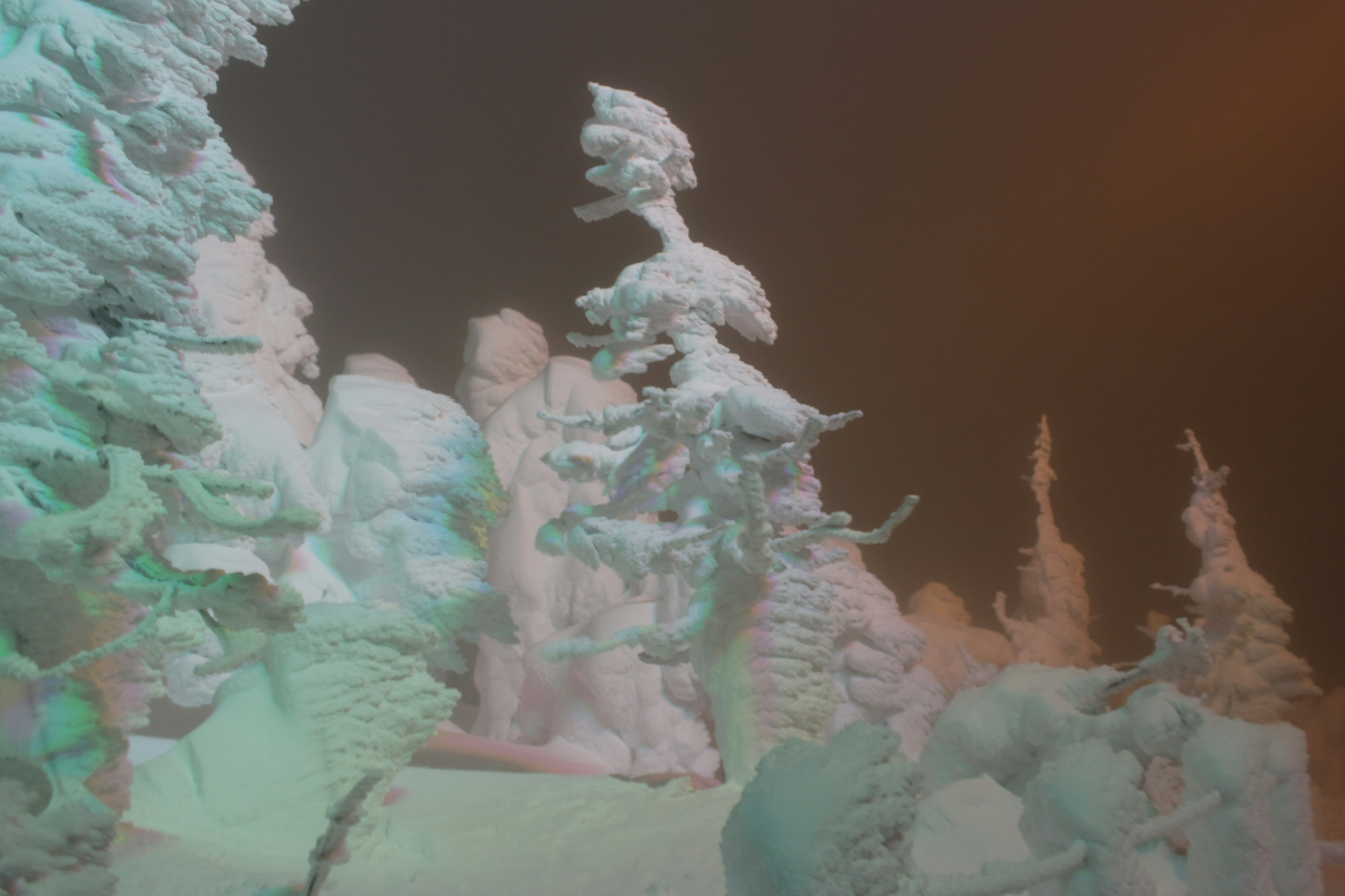 雪に覆われた木々と幻想的な色彩の風景