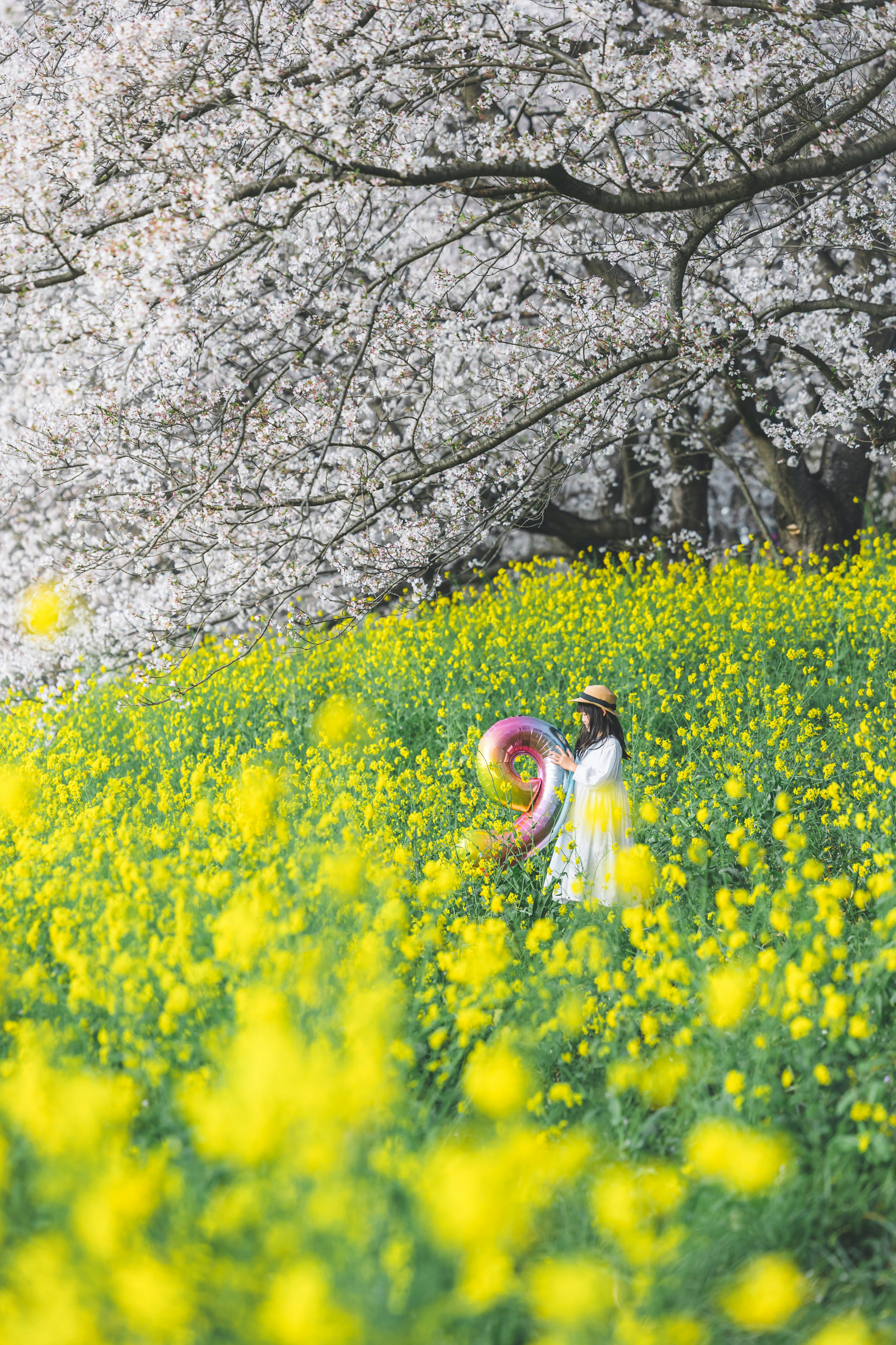 黄色い花に囲まれた白いドレスの女性が花畑で遊んでいる