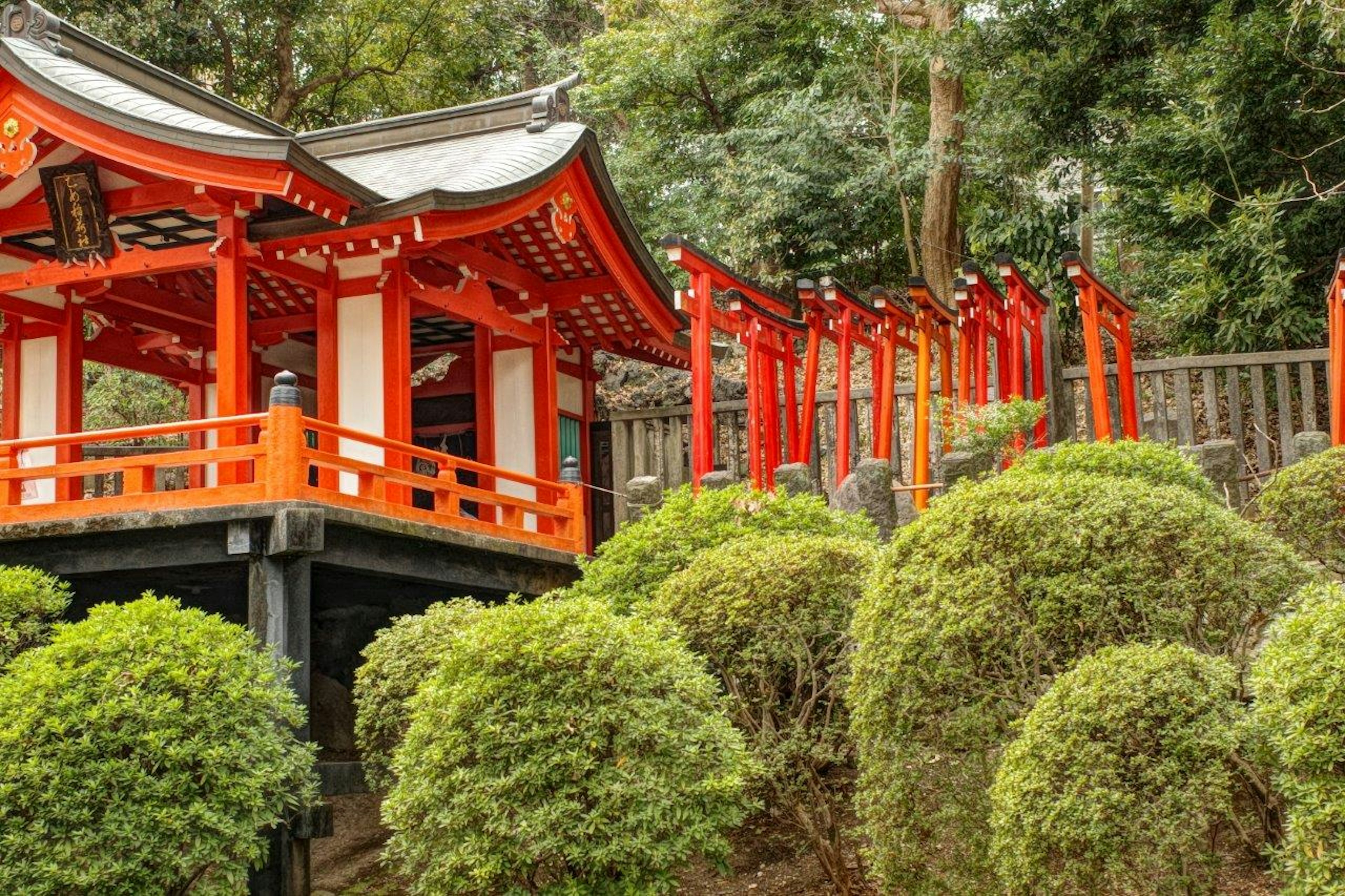 紅色神社建築被綠色灌木包圍的風景