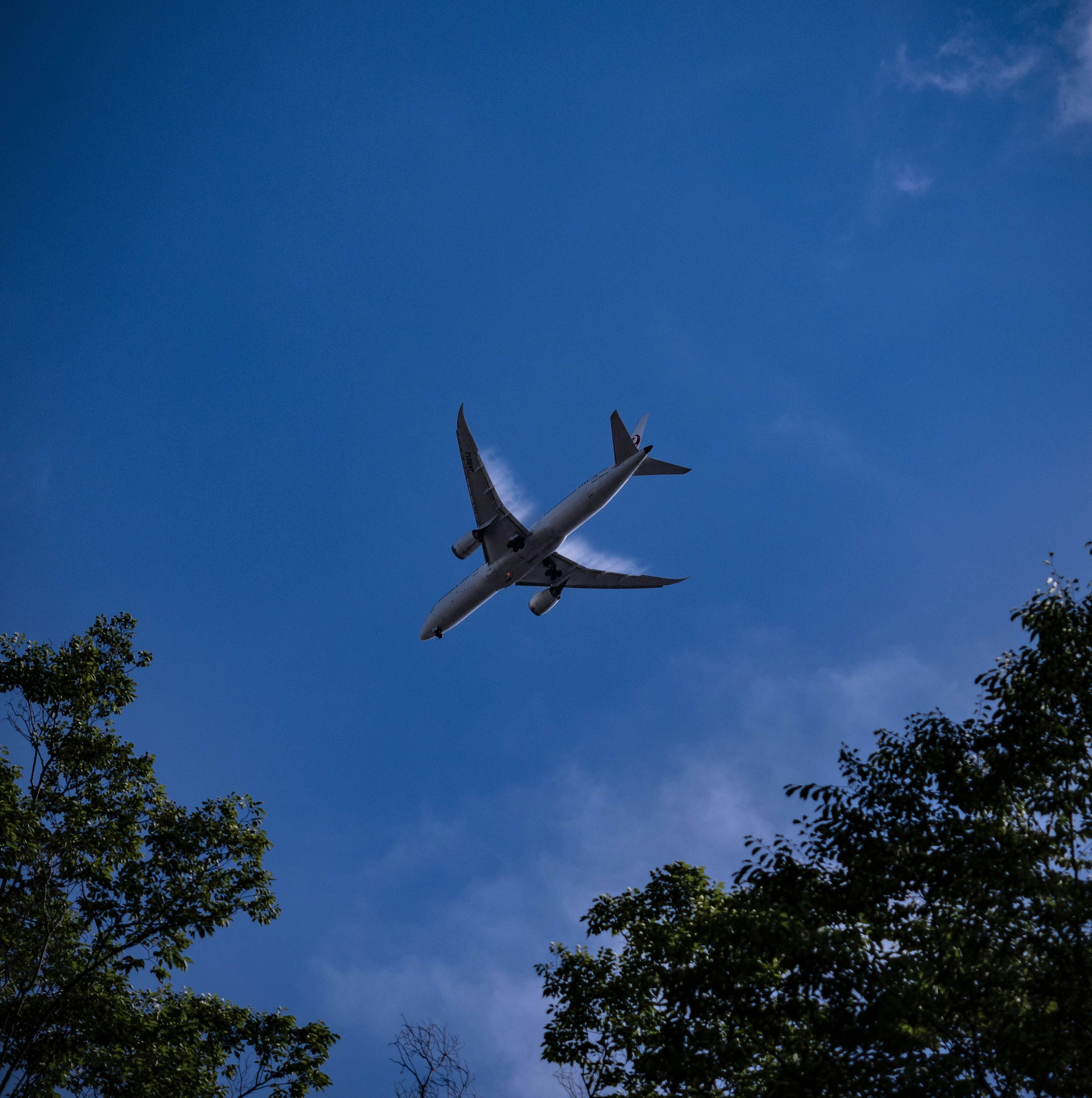 Airplane flying in the blue sky surrounded by trees