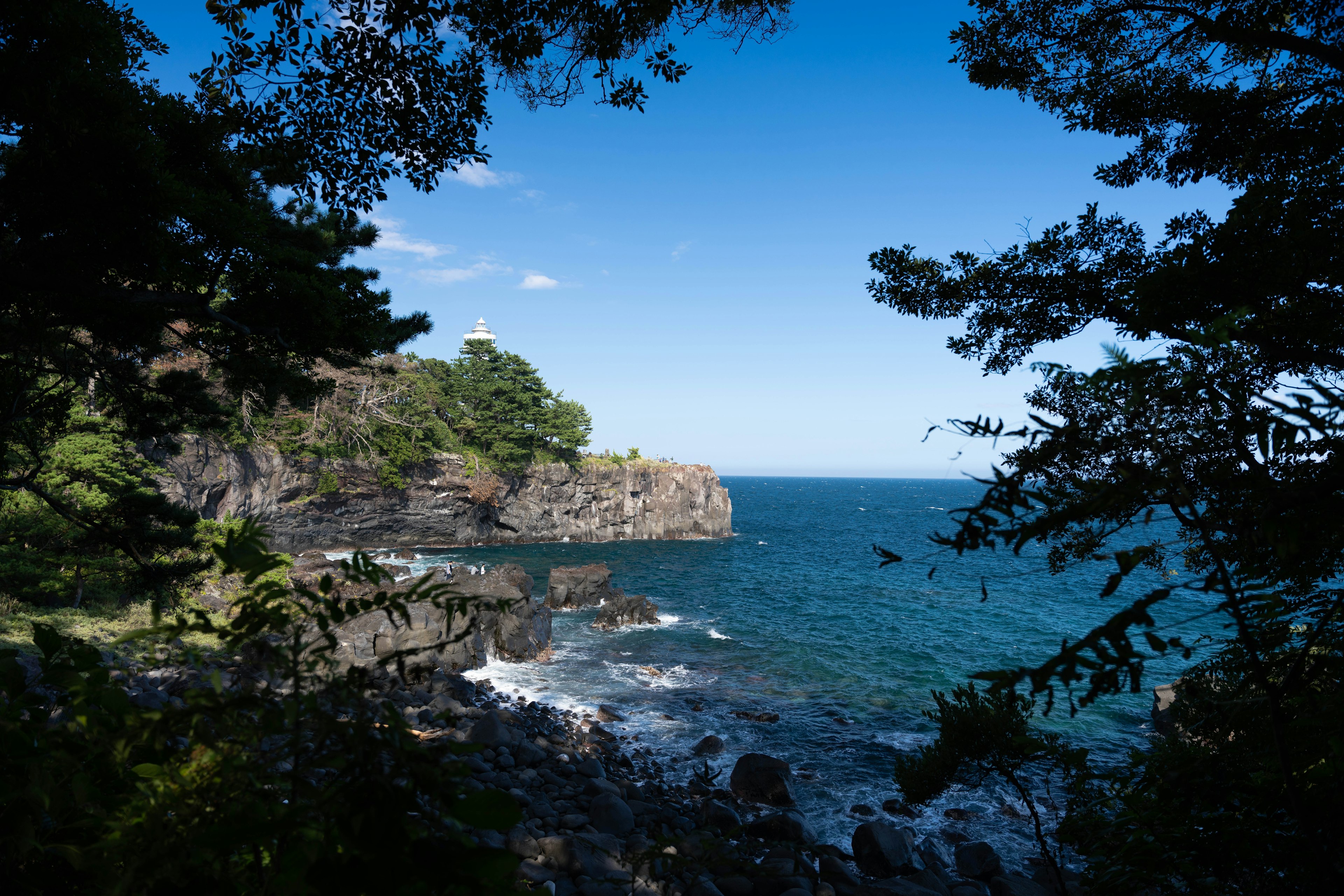 藍色海洋和岩石海岸的風景，透過樹木框住