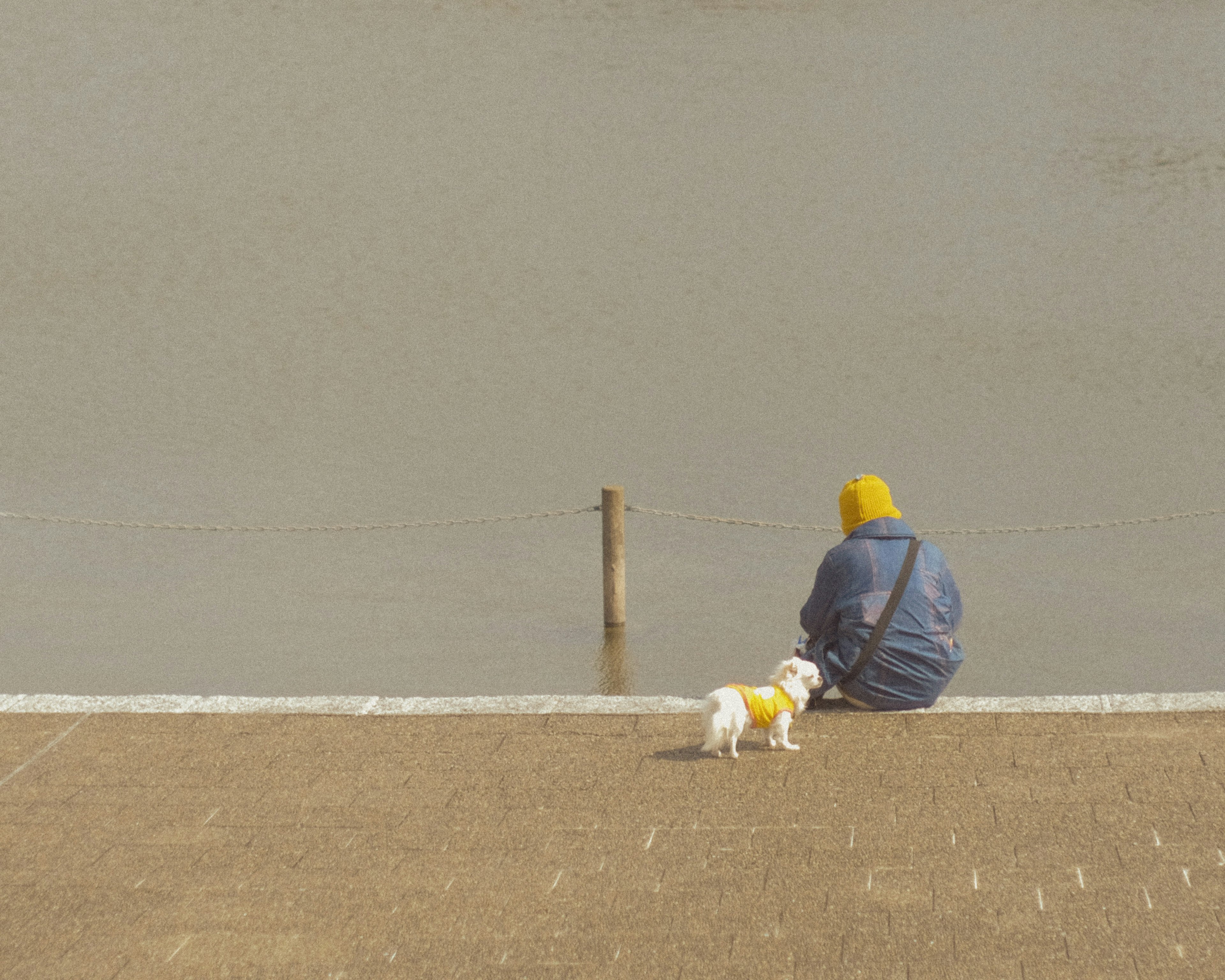 Una persona seduta vicino al fiume con un cane