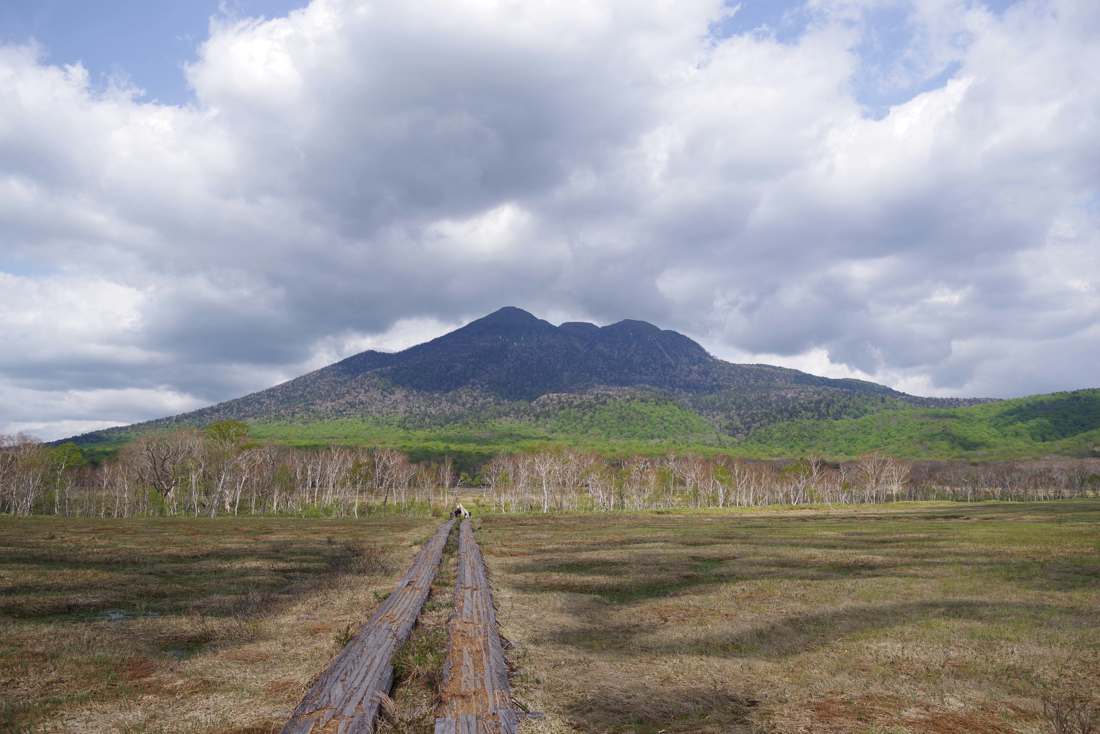 Paisaje con una montaña verde y un cielo amplio