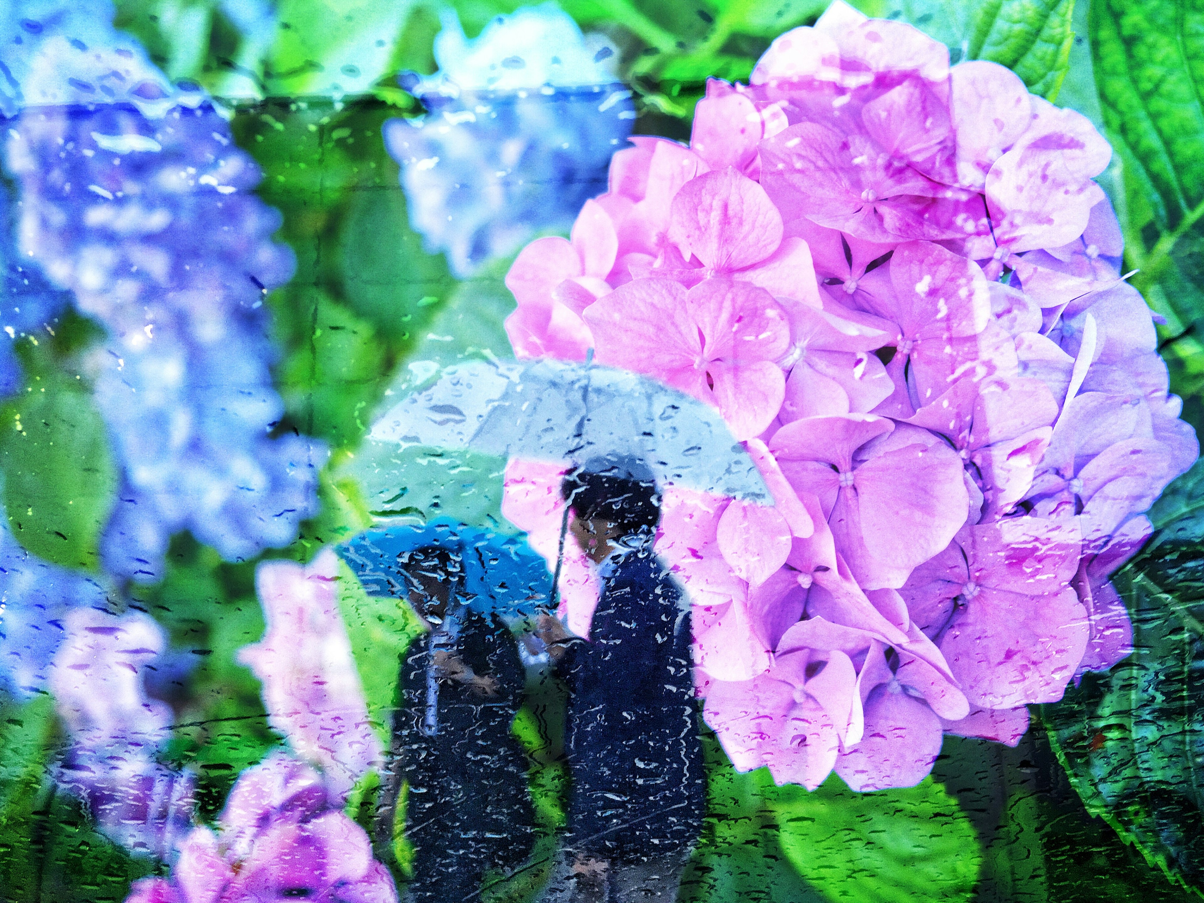 photo-gTPq4qPQCCZq5PCBlMOh-image