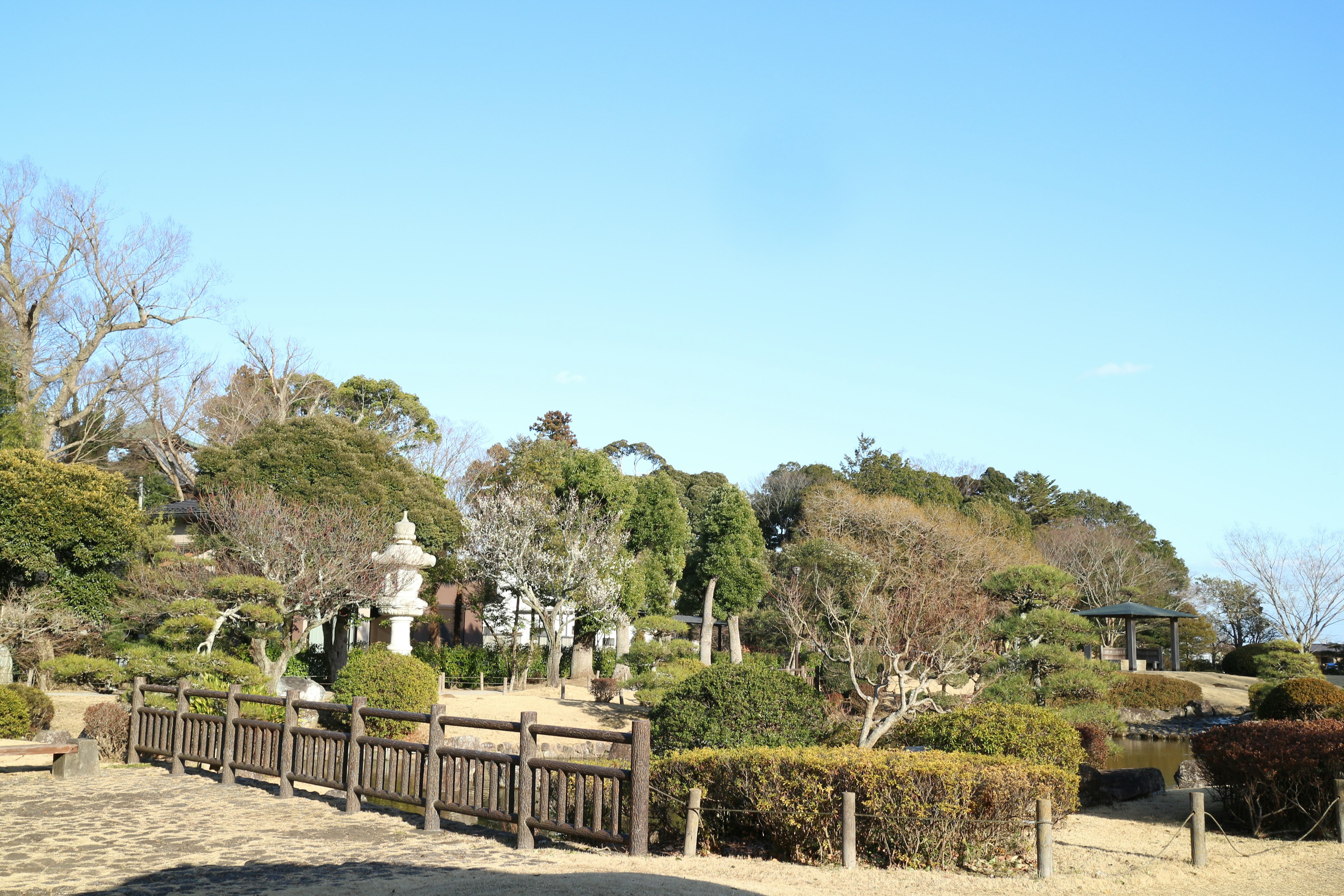 Tranquil garden scene under a clear blue sky featuring a bridge and stone lantern