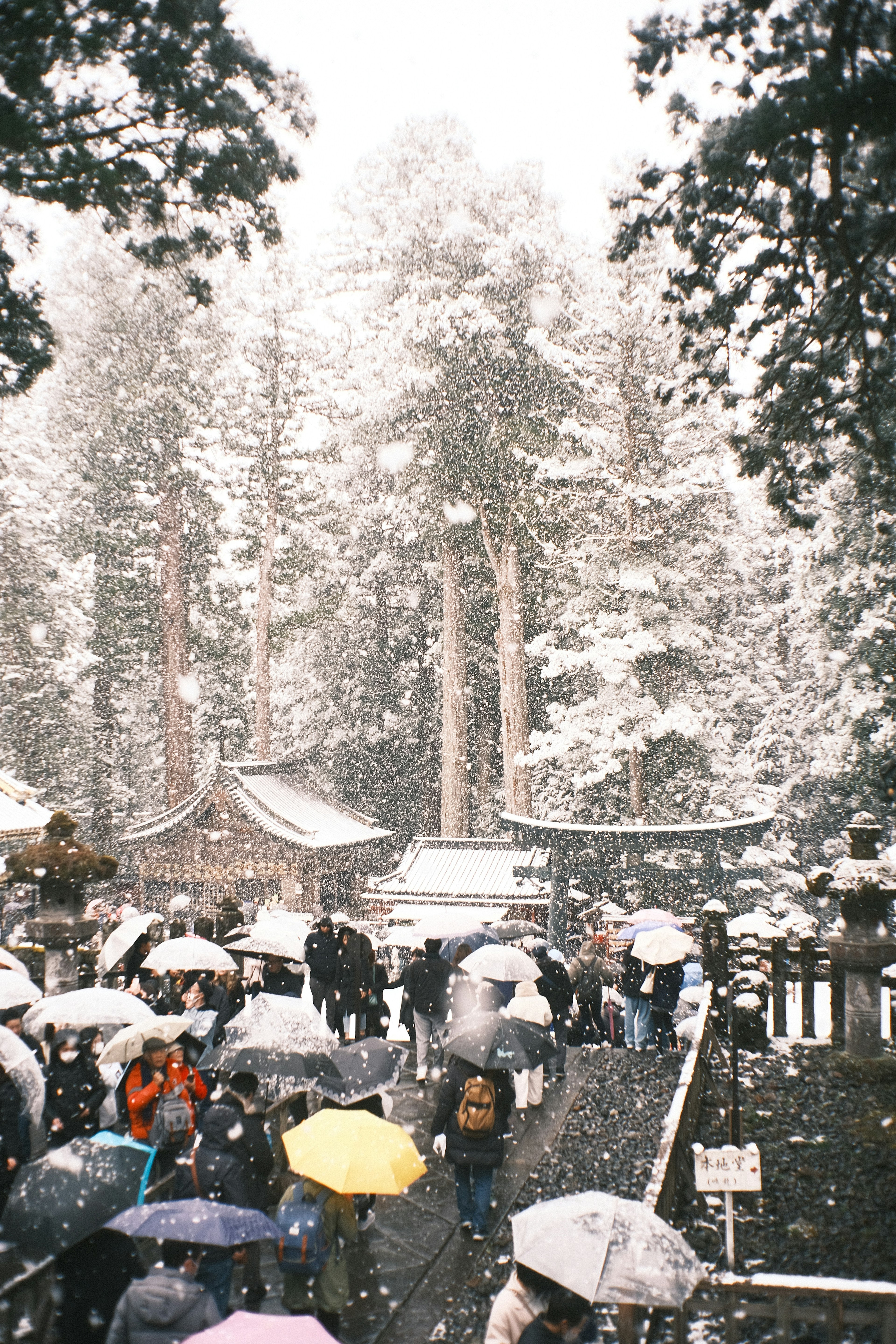 雪の中を歩く人々と傘が並ぶ森の風景