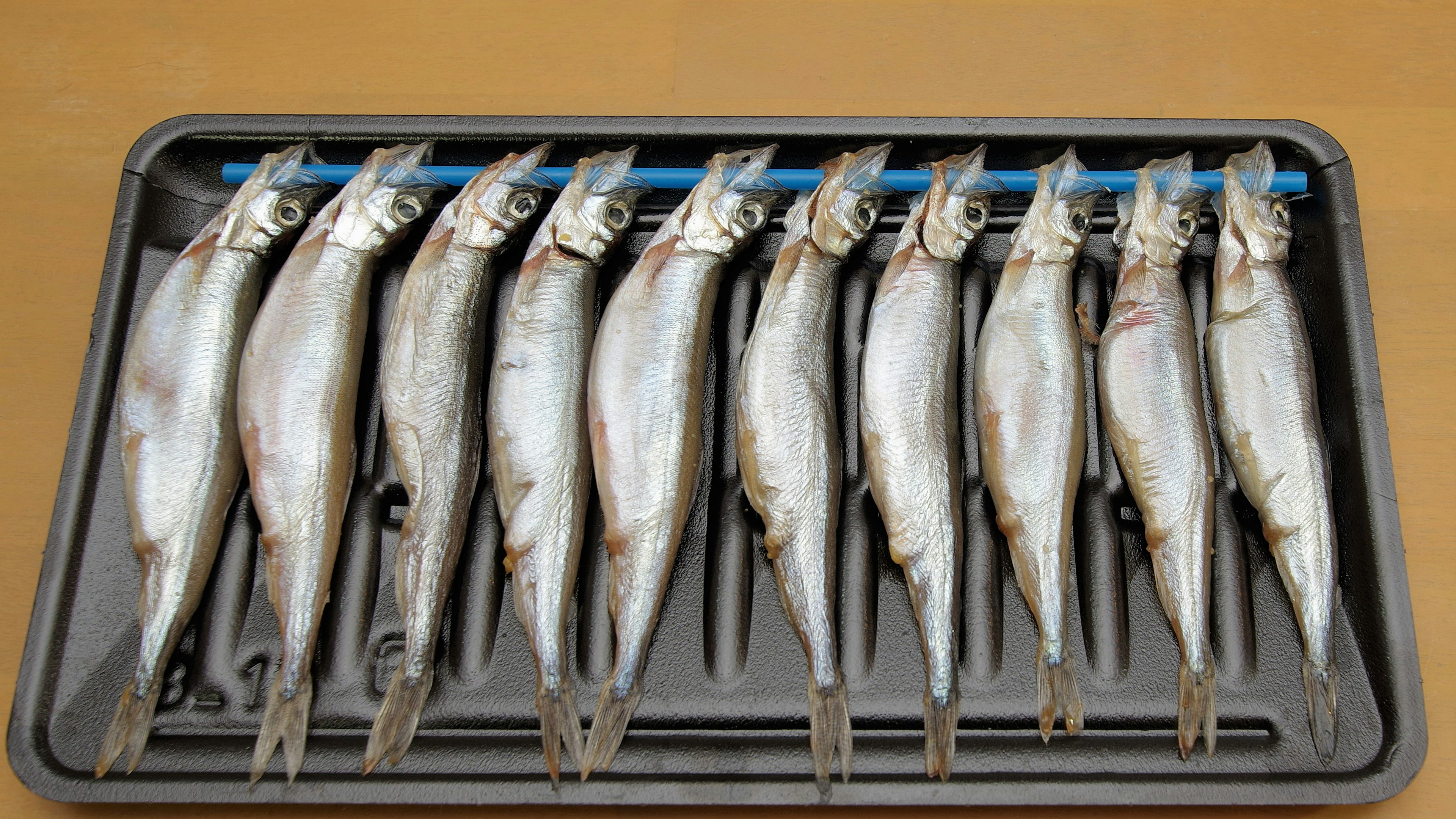 Ein Tablett mit frischen Fischen in einer Reihe angeordnet