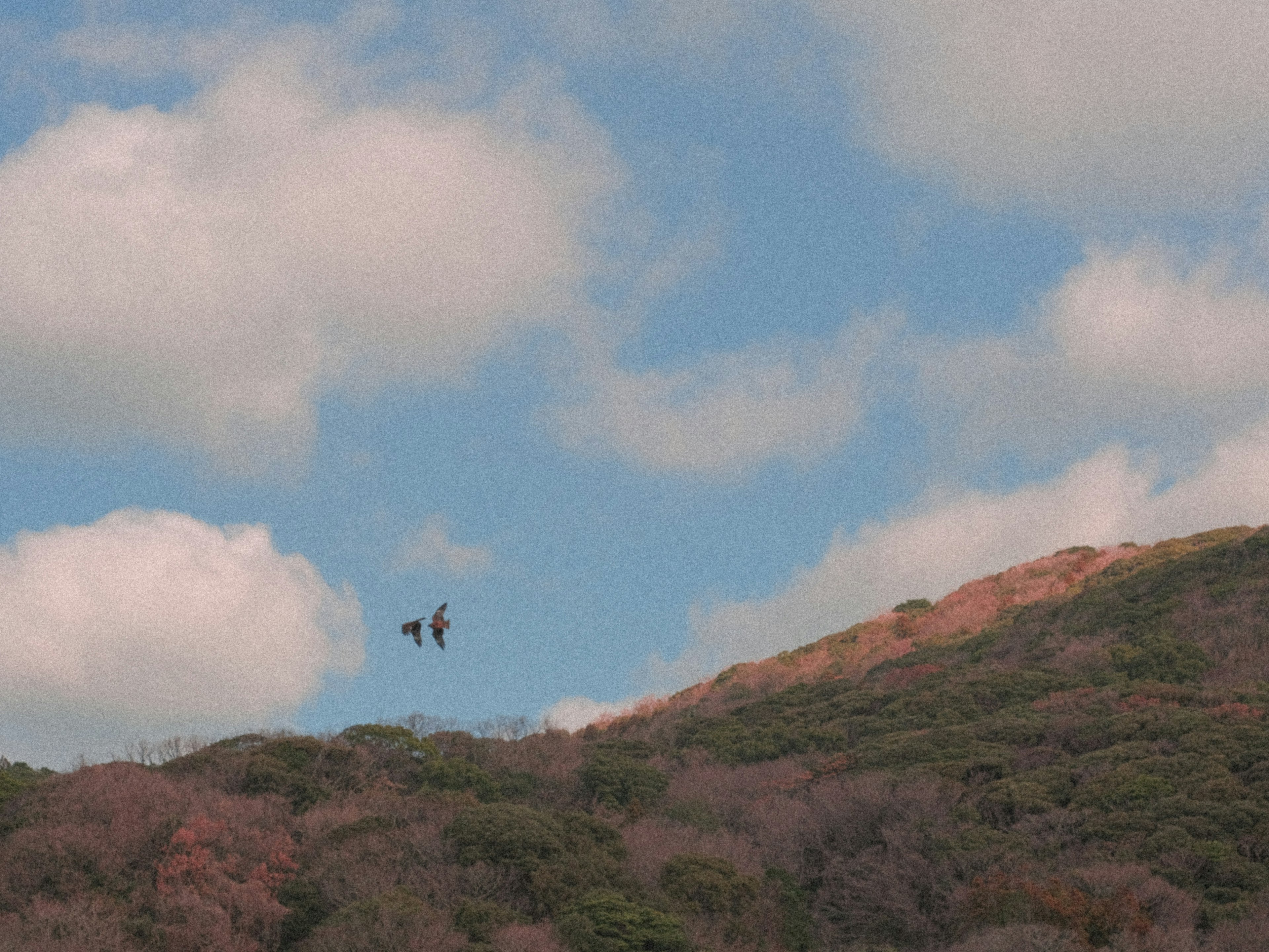 青空に浮かぶ雲と山の上を飛ぶ二人のハンググライダー