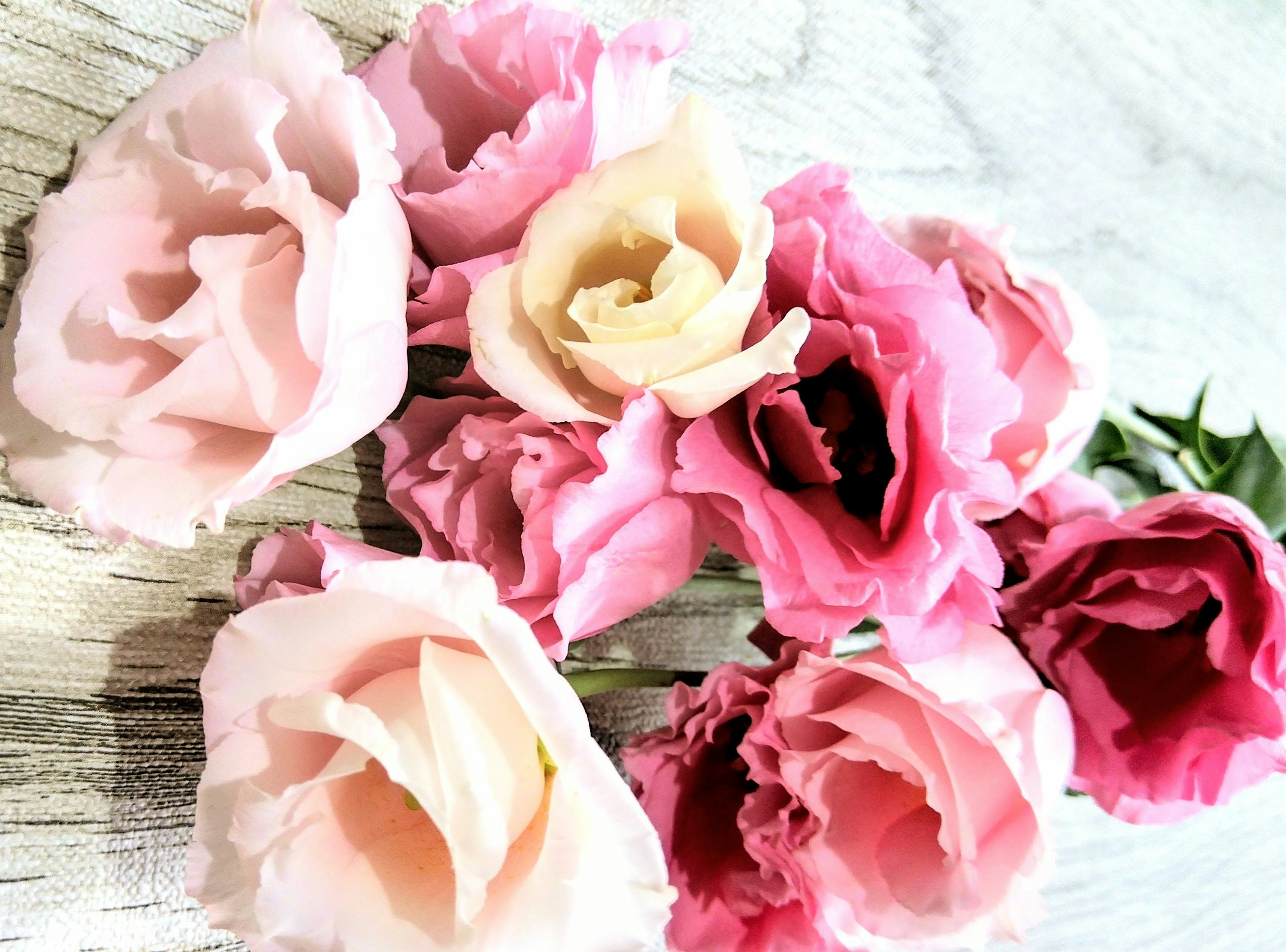 A cluster of soft pink and cream flowers arranged together