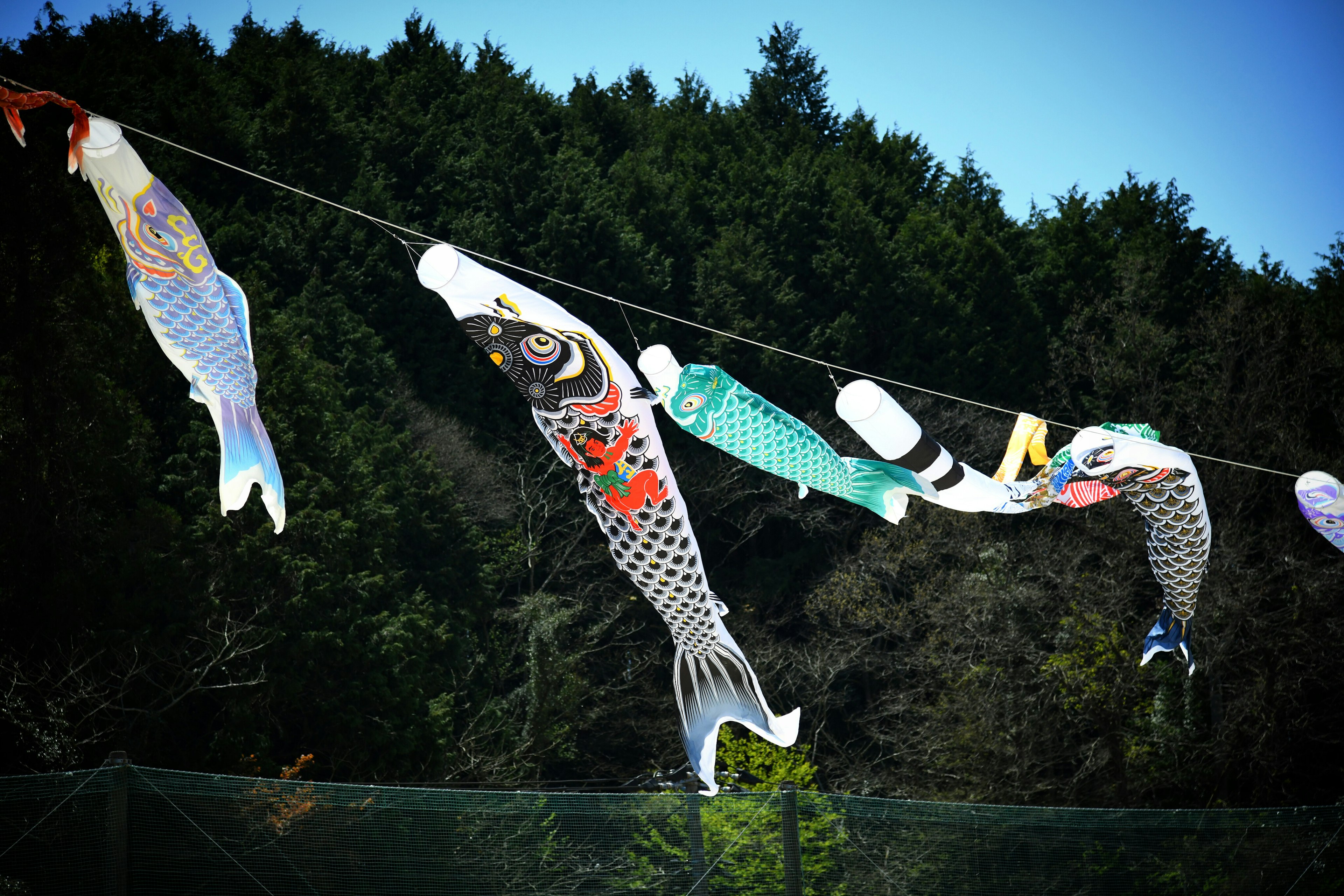 Drapeaux de koi colorés flottant sous un ciel bleu