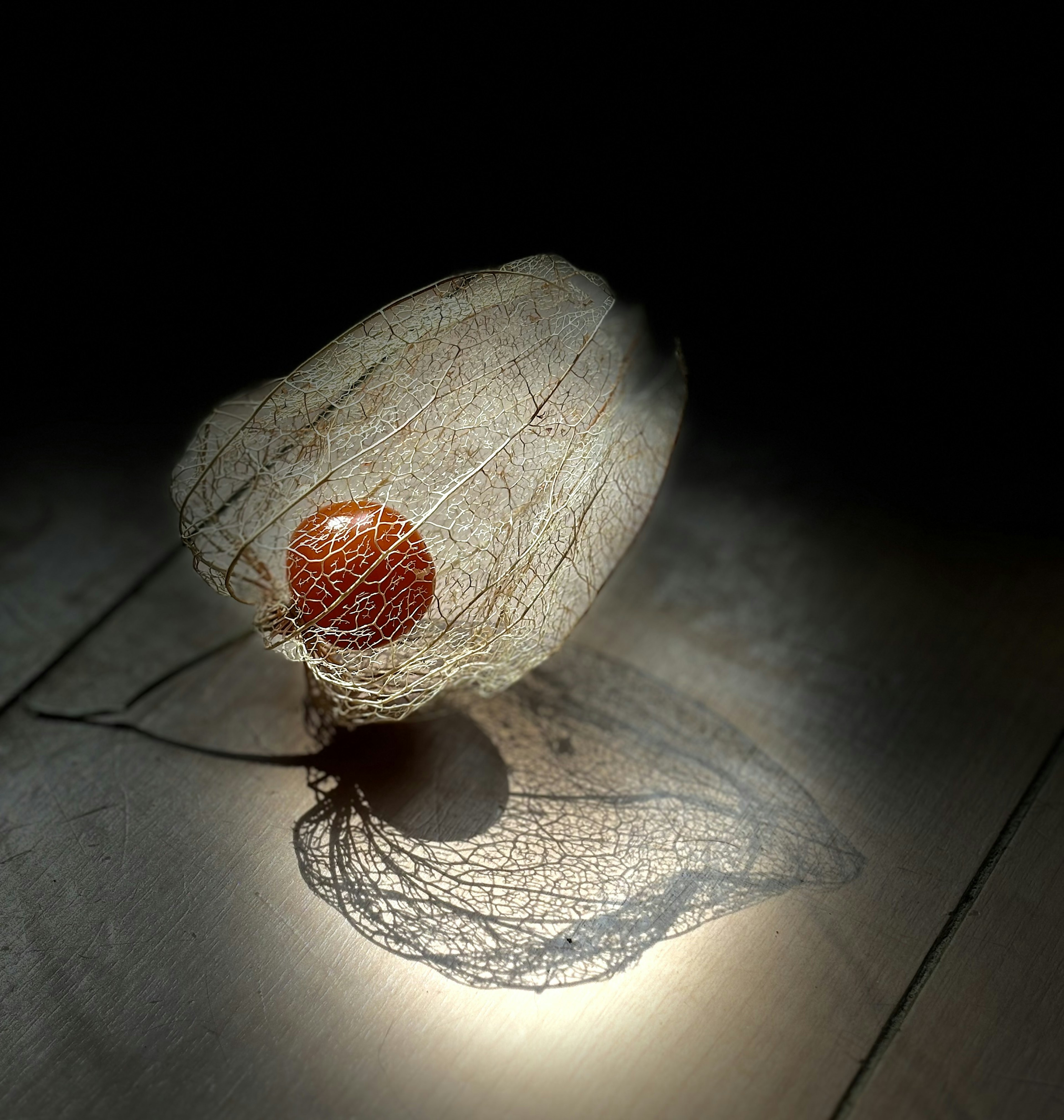 An orange sphere wrapped in delicate netting illuminated by soft light