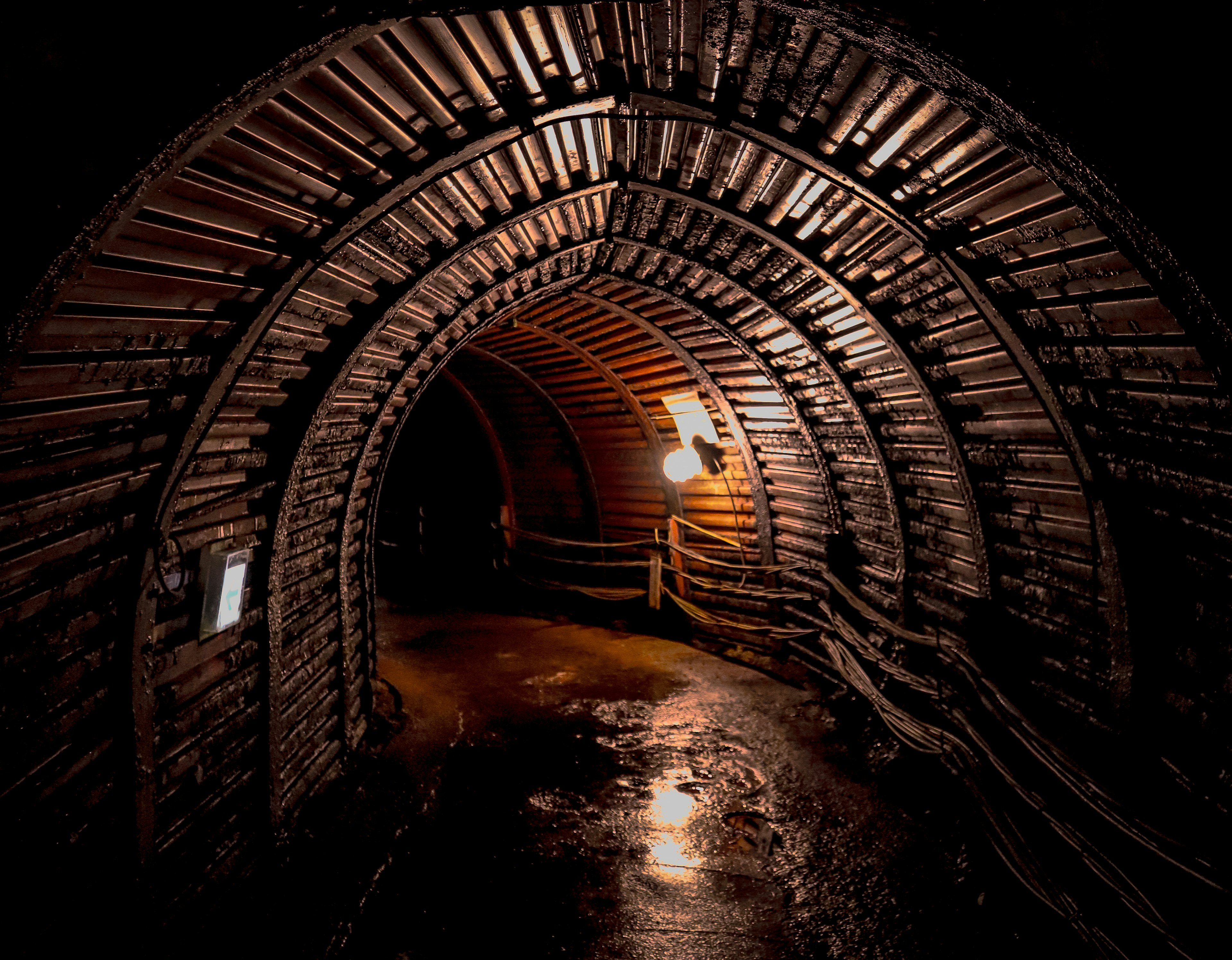 Interior de un túnel de madera arqueado con iluminación y suelo mojado