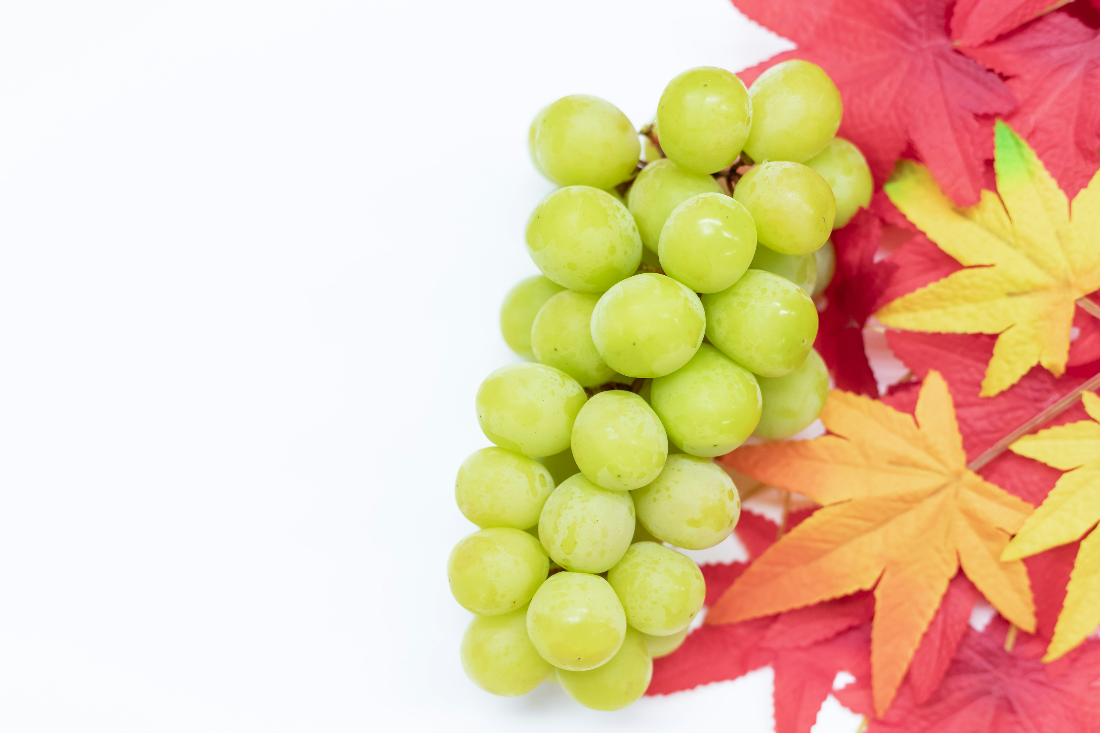 A cluster of green grapes with vibrant red autumn leaves